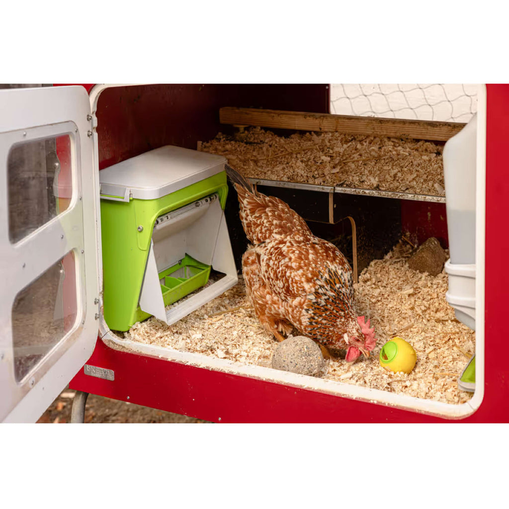 Kerbl Futterautomat mit Schutzklappe Grün