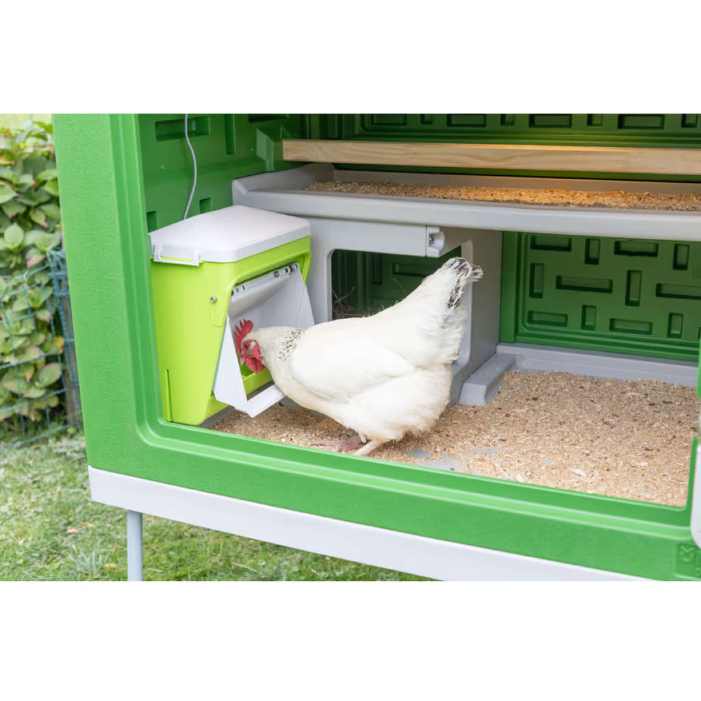 Kerbl Futterautomat mit Schutzklappe Grün