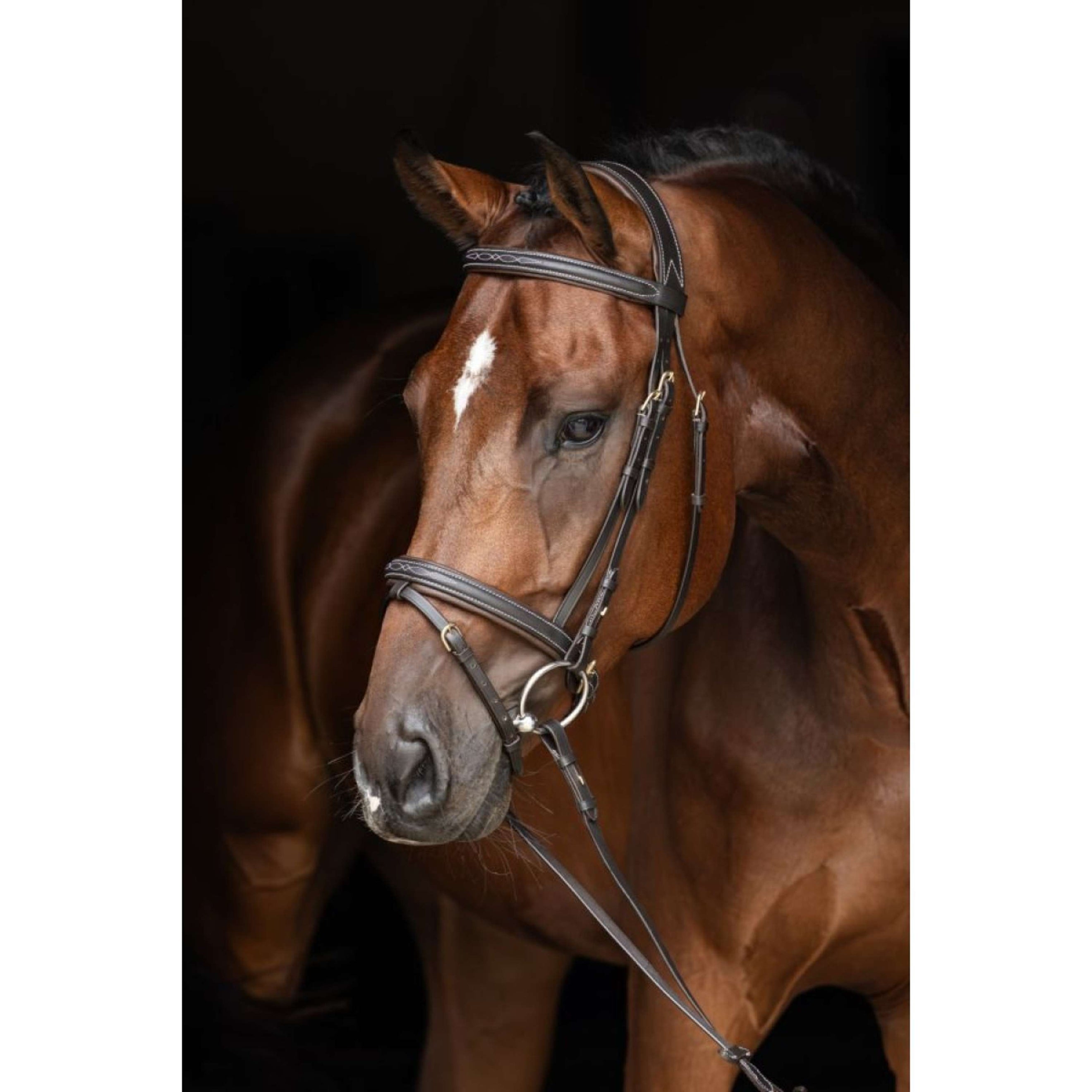 Kerbl Trense Classic Leder Klassik Braun
