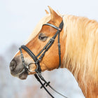 Kieffer Trense Ultrasoft Haflinger Schwarz/Weißen Steinen
