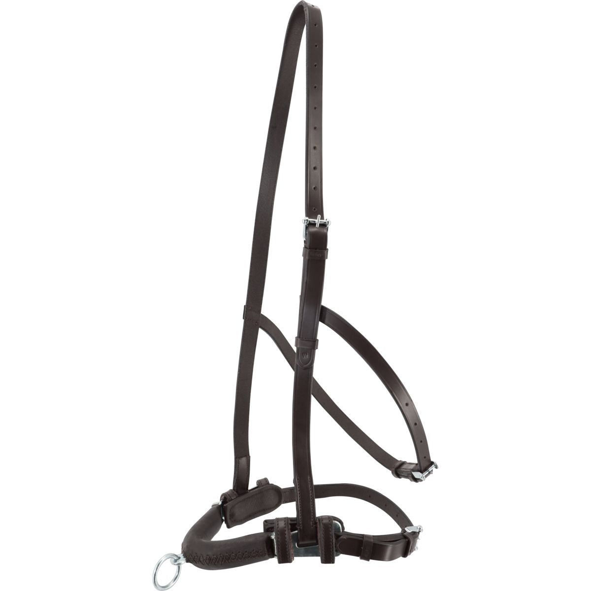 Kieffer Kapzaum Anja Beran Schwarz