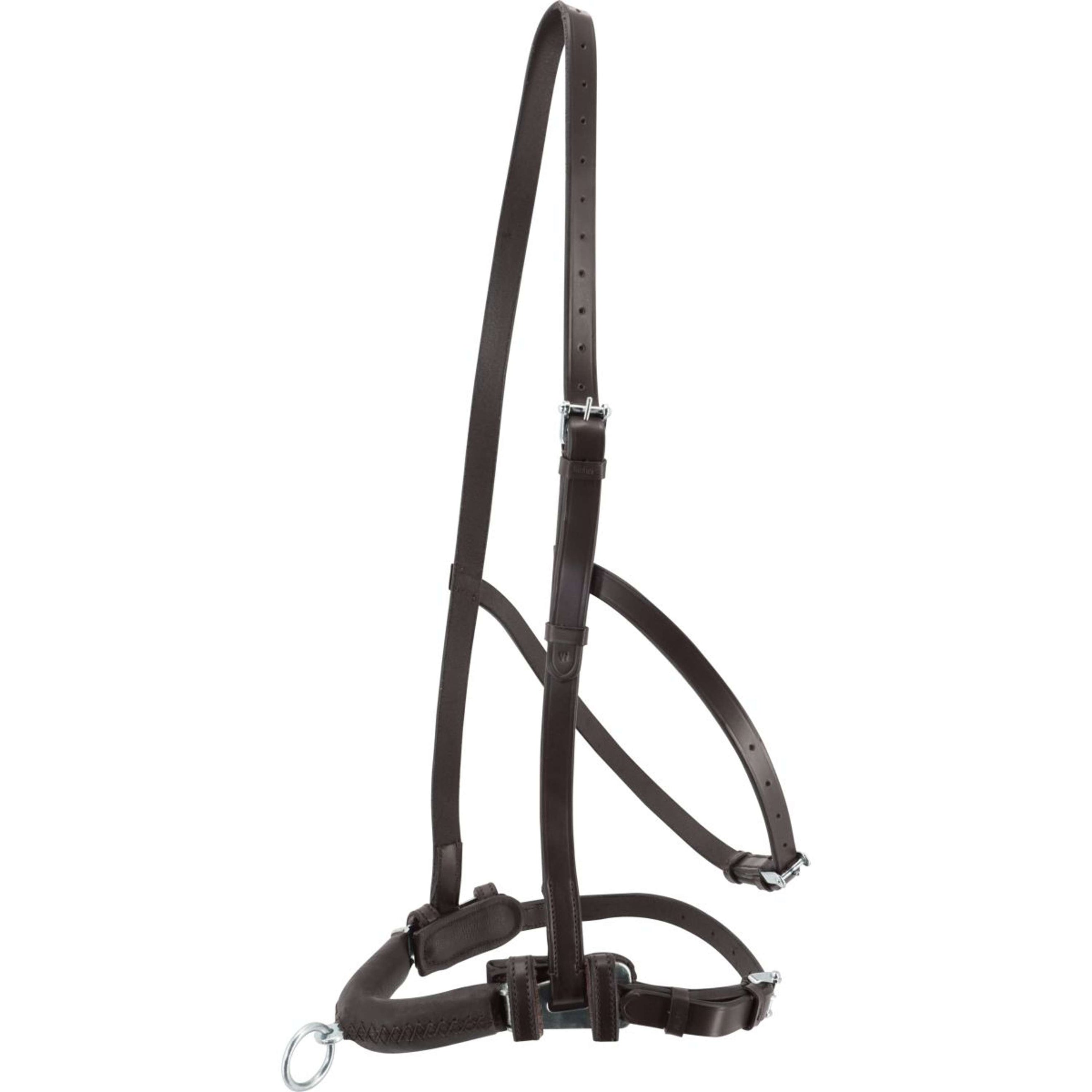 Kieffer Kapzaum Anja Beran Schwarz Kieffer Kapzaum Anja Beran Schwarz