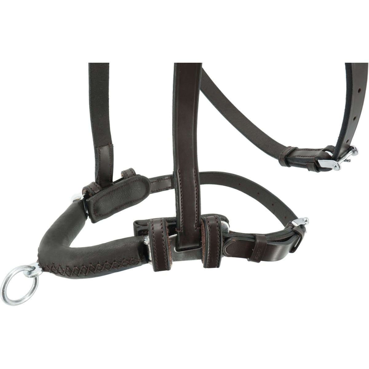 Kieffer Kapzaum Anja Beran Schwarz