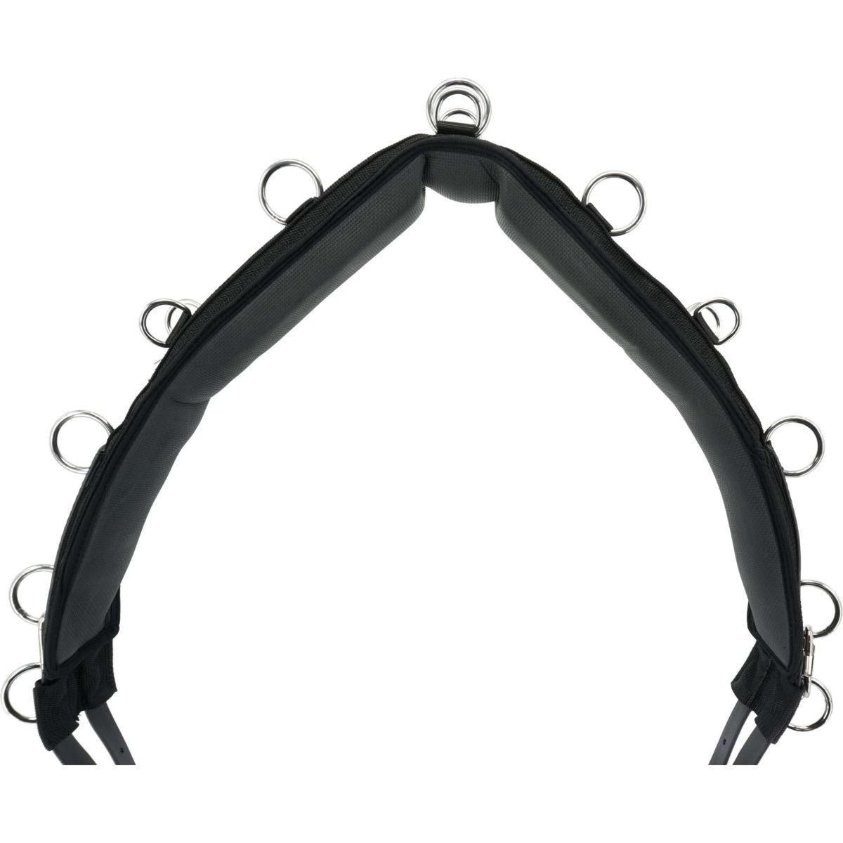 Kieffer Longiergurt Schwarz