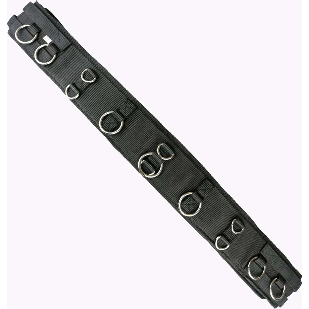 Kieffer Longiergurt Essentials Circle Schwarz