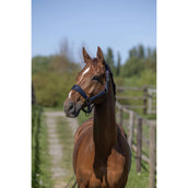 Kingsland Halfterset KLLucca Navy