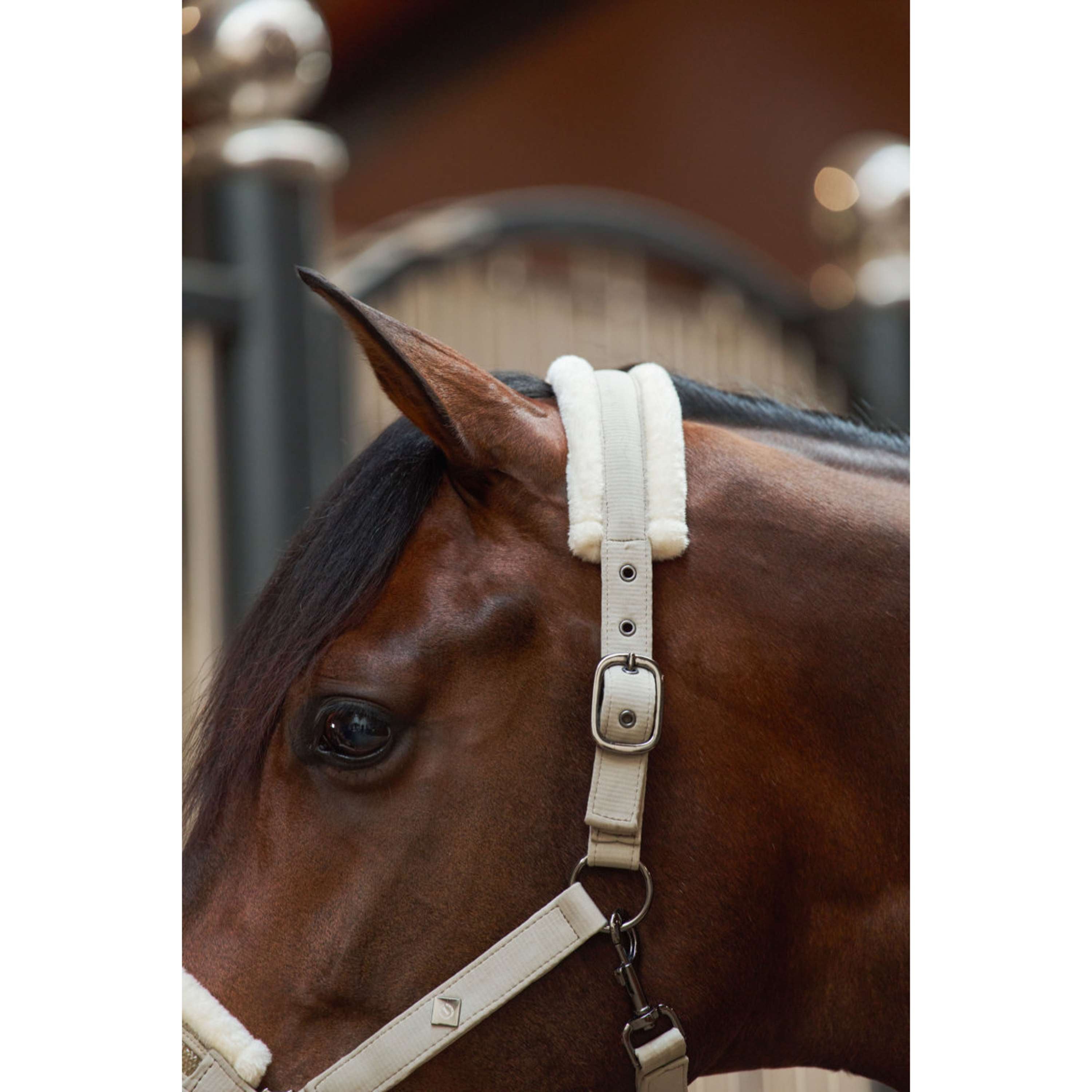Imperial Riding Halfter IRHJewel Taupe