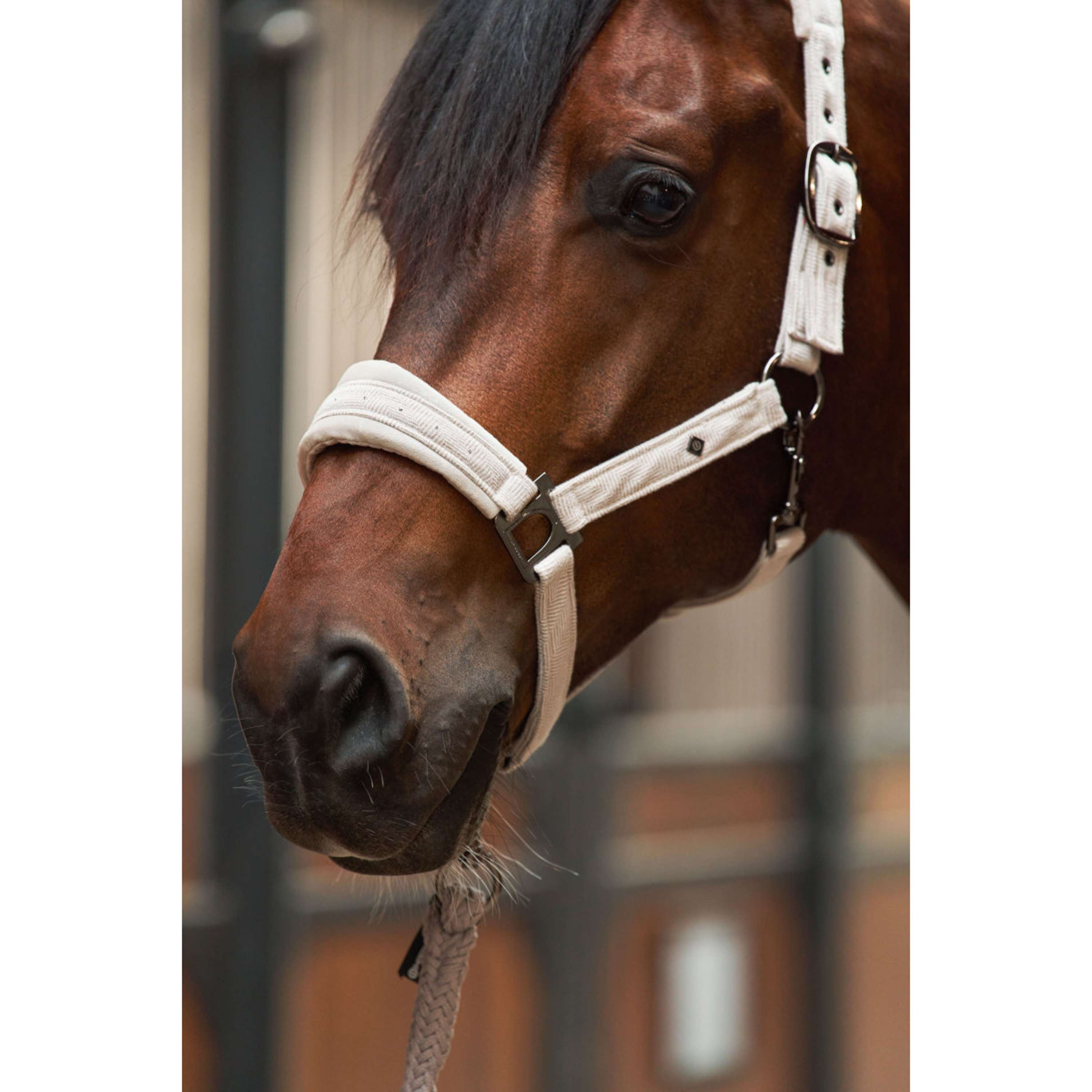 Imperial Riding Halfter IRHPenny Herringbone Taupe