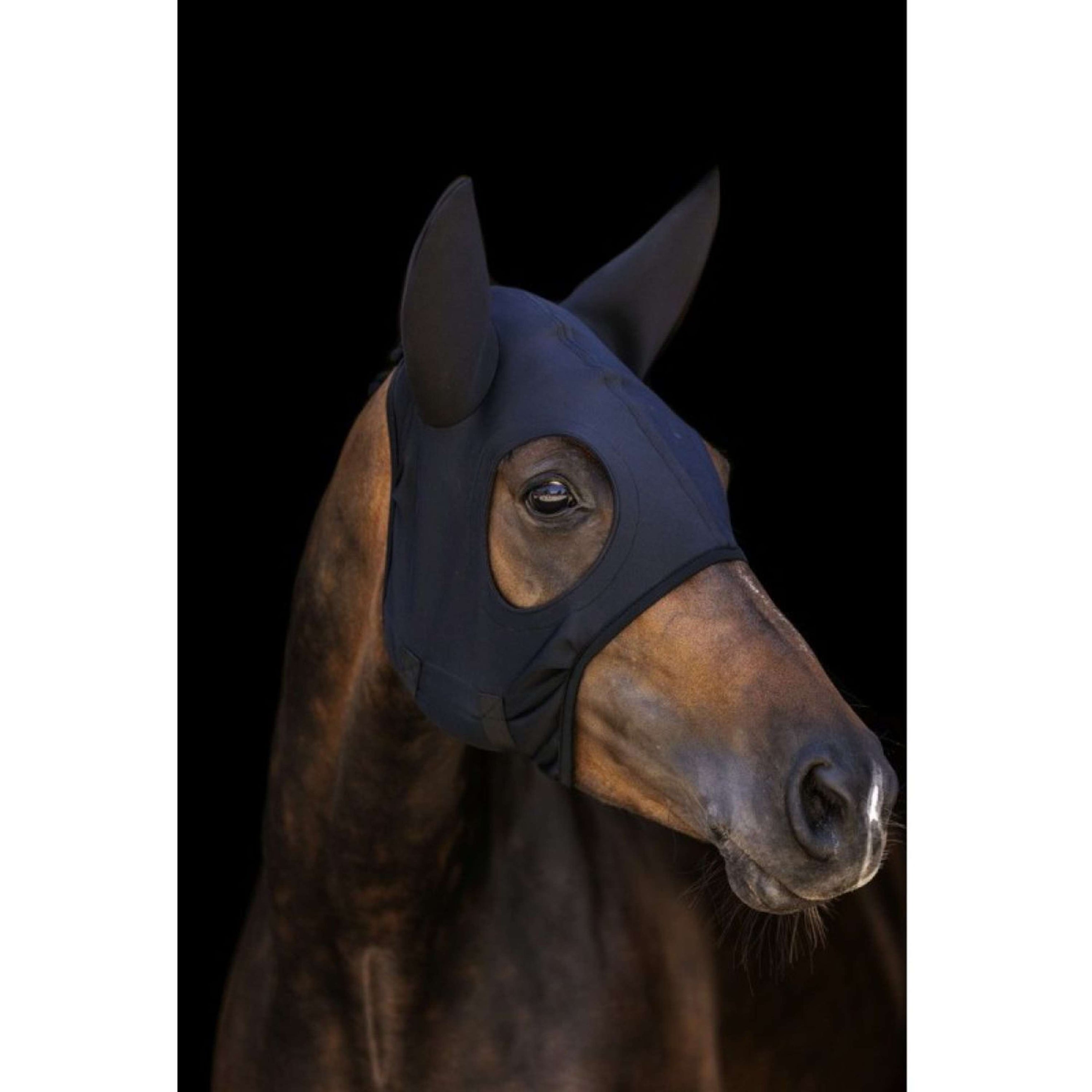 Lami-Cell Maske Titanium mit Ohren Schwarz Lami-Cell Maske Titanium mit Ohren Schwarz