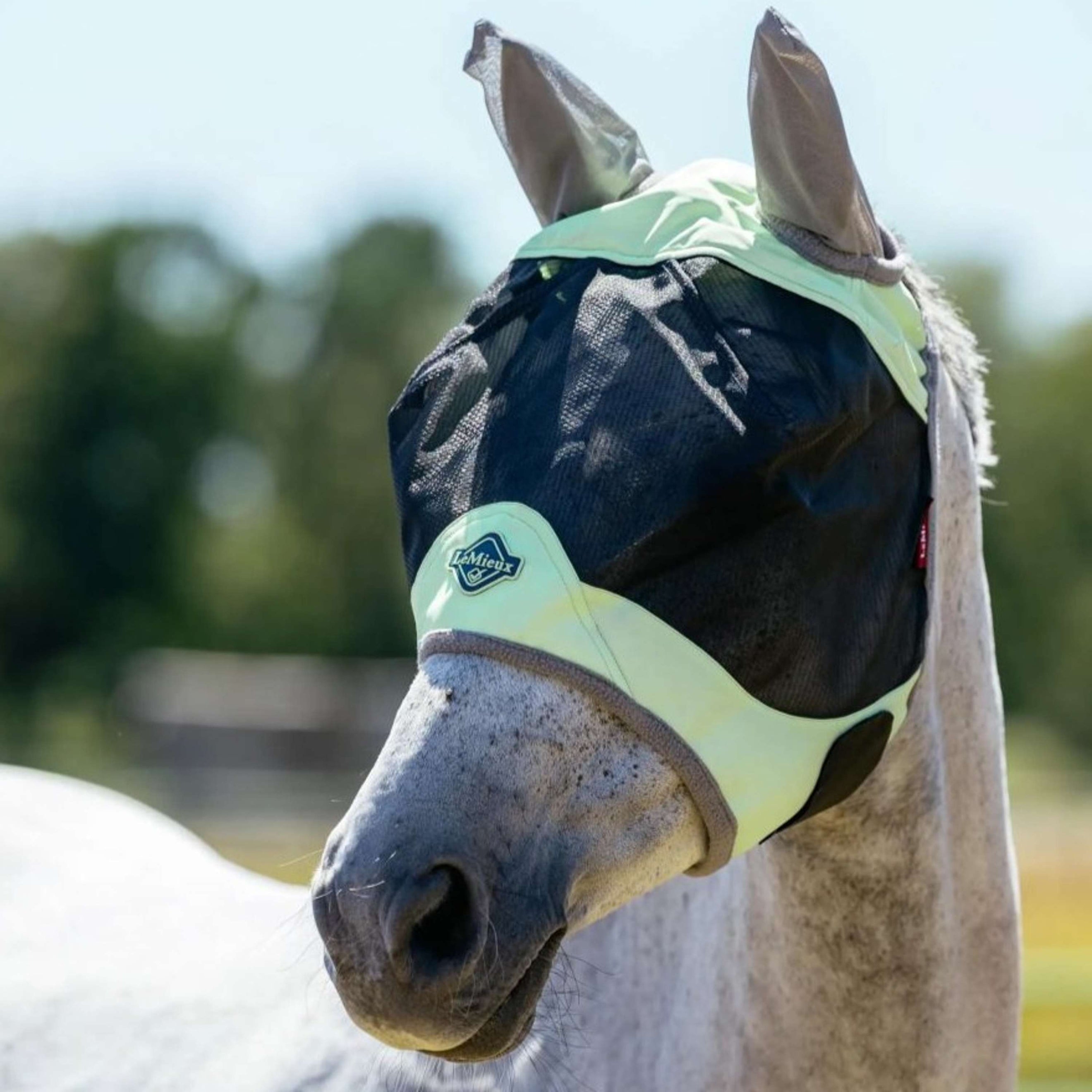 LeMieux Fliegenmaske Visor-Tek Macaron LeMieux Fliegenmaske Visor-Tek Macaron