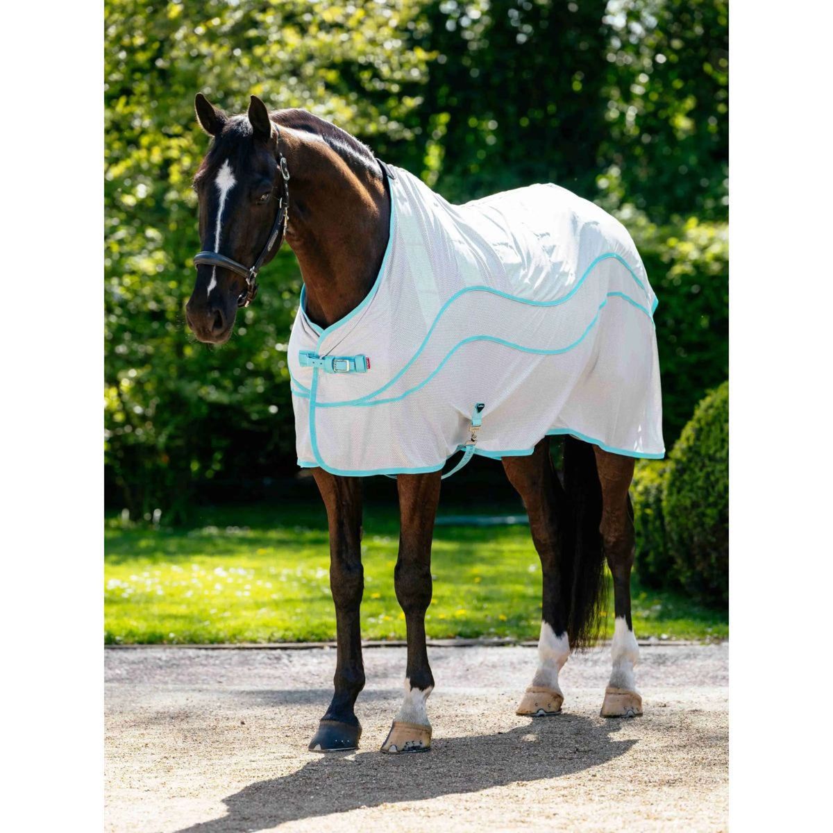 LeMieux Cooler Crystal Grau