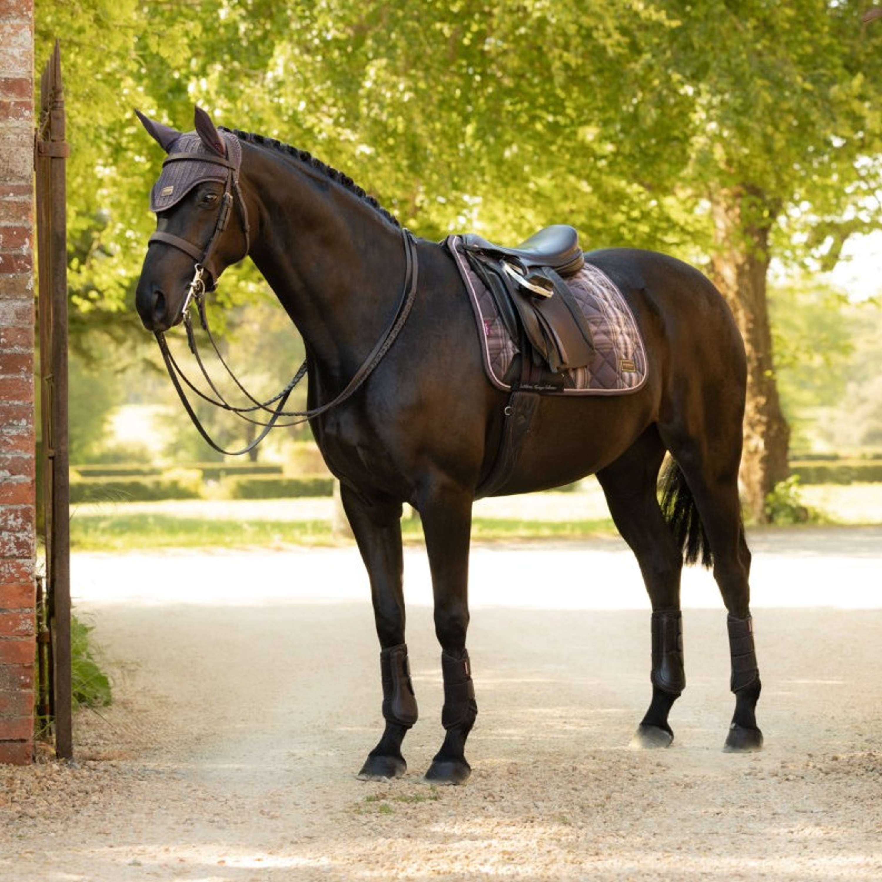 LeMieux Schabracke Heritage Check Square Dressur Cocoa