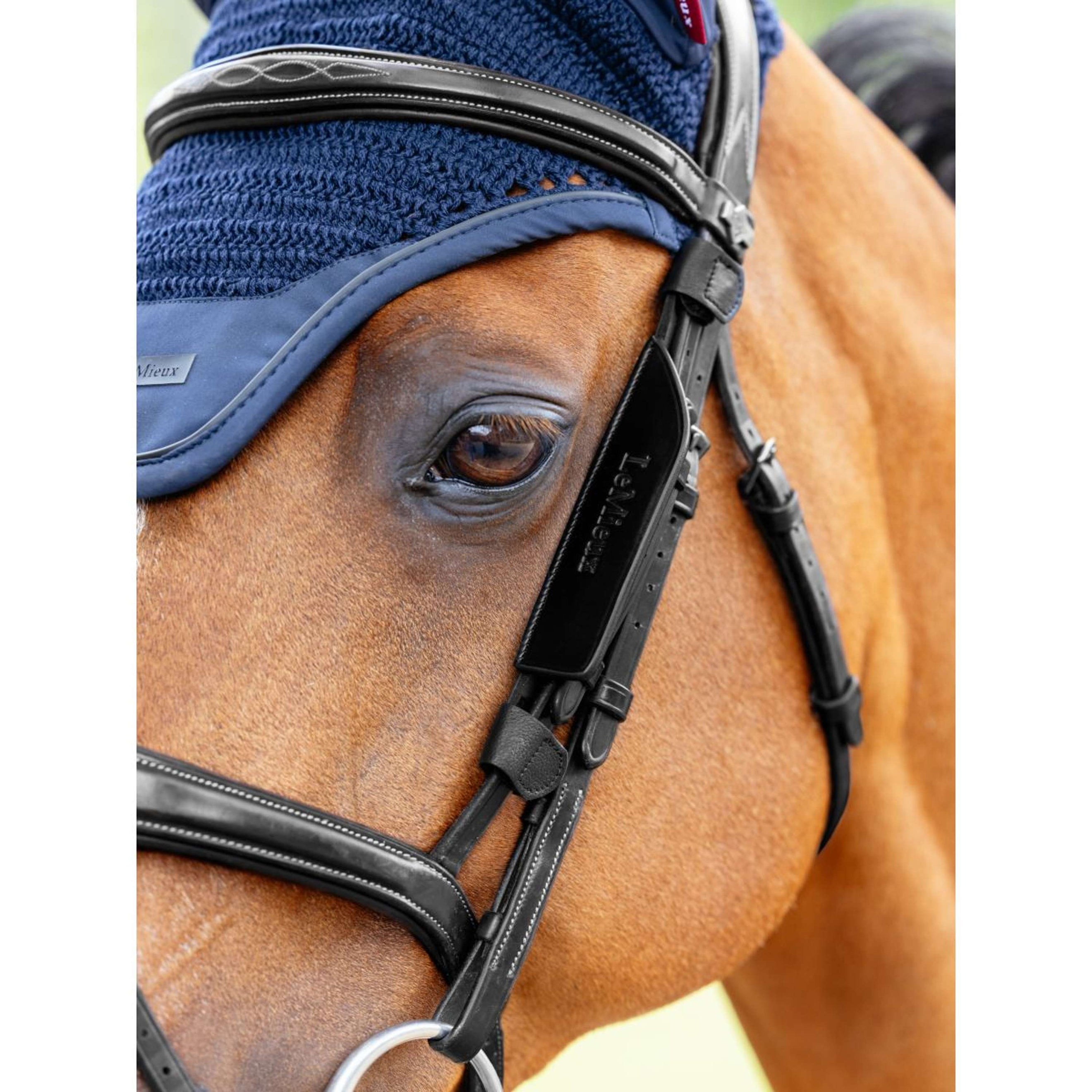 LeMieux Blinker Leather Schwarz LeMieux Blinker Leather Schwarz