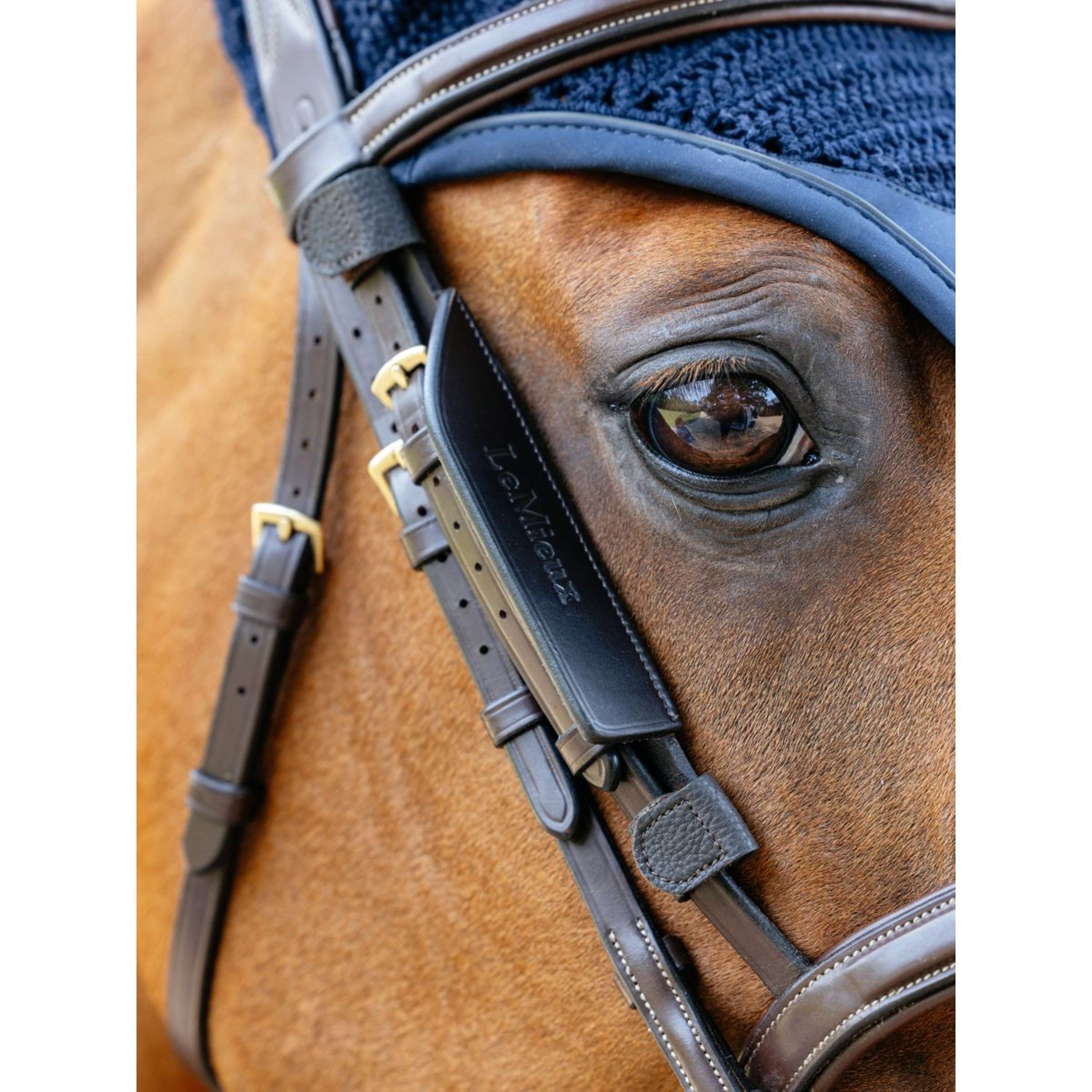 LeMieux Blinker Leather Braun