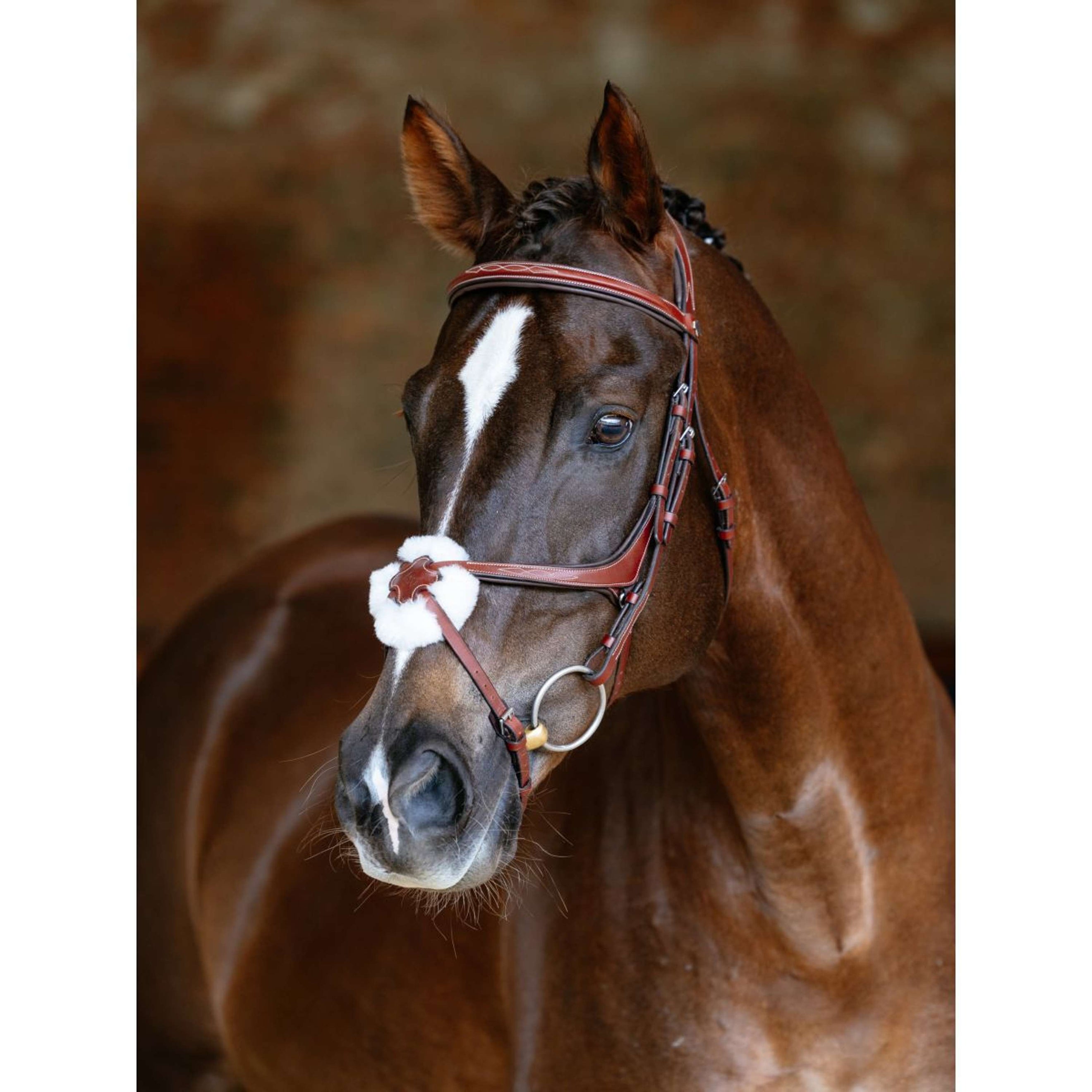 LeMieux Zaum Kudos Grackle Kastanie LeMieux Zaum Kudos Grackle Kastanie