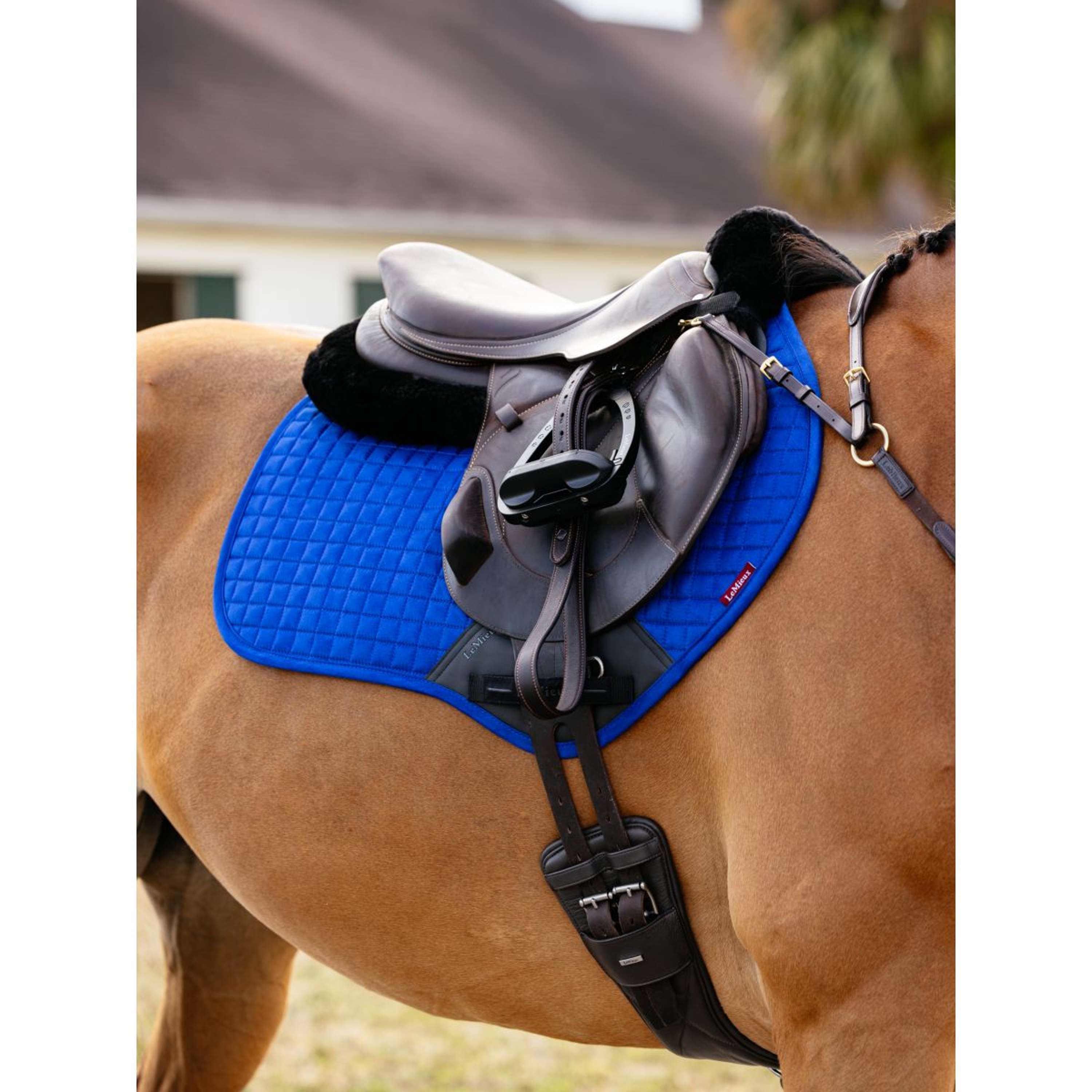 LeMieux Schabracke Suede Square Close Contact Benetton