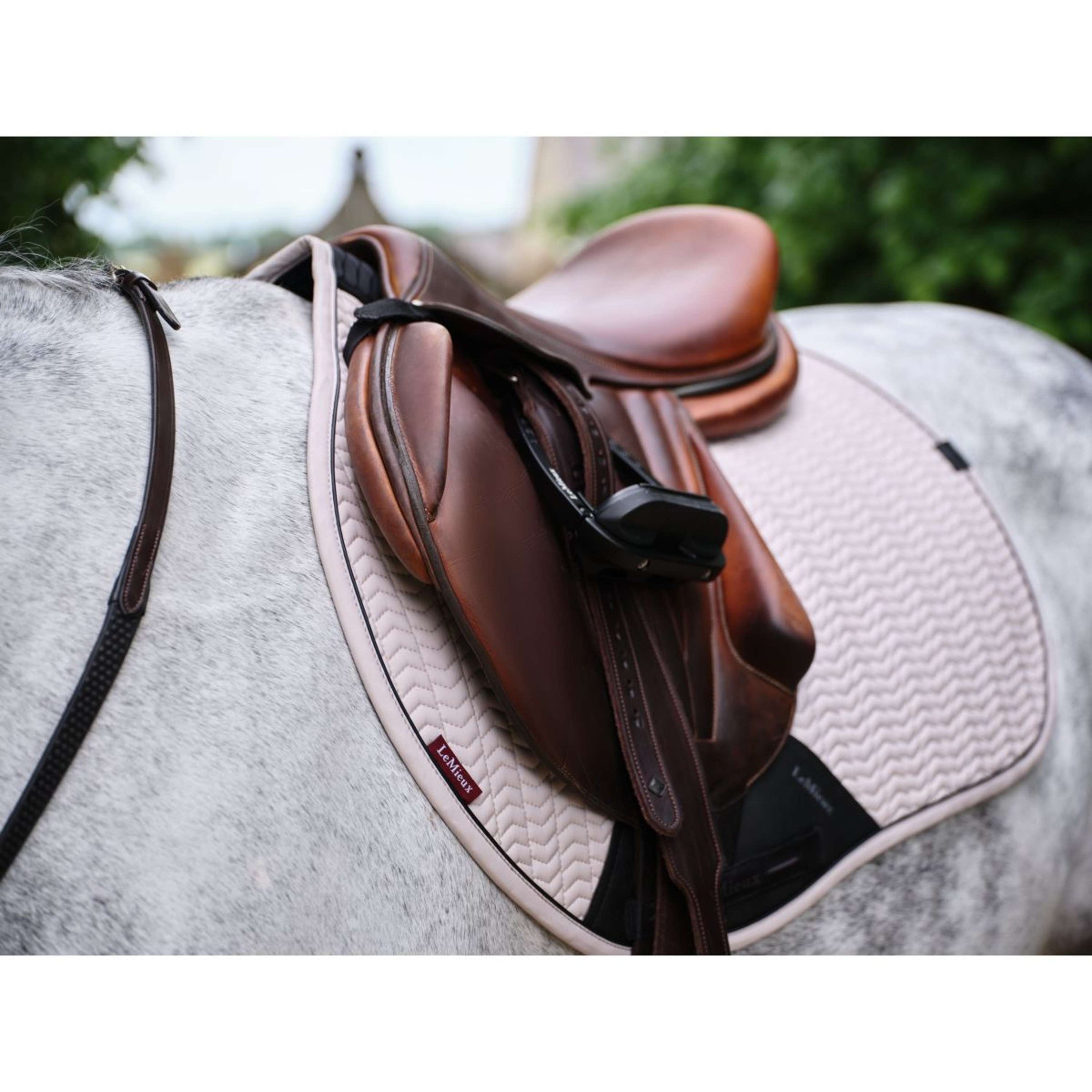 LeMieux Schabracke Essence Springen Stein LeMieux Schabracke Essence Springen Stein