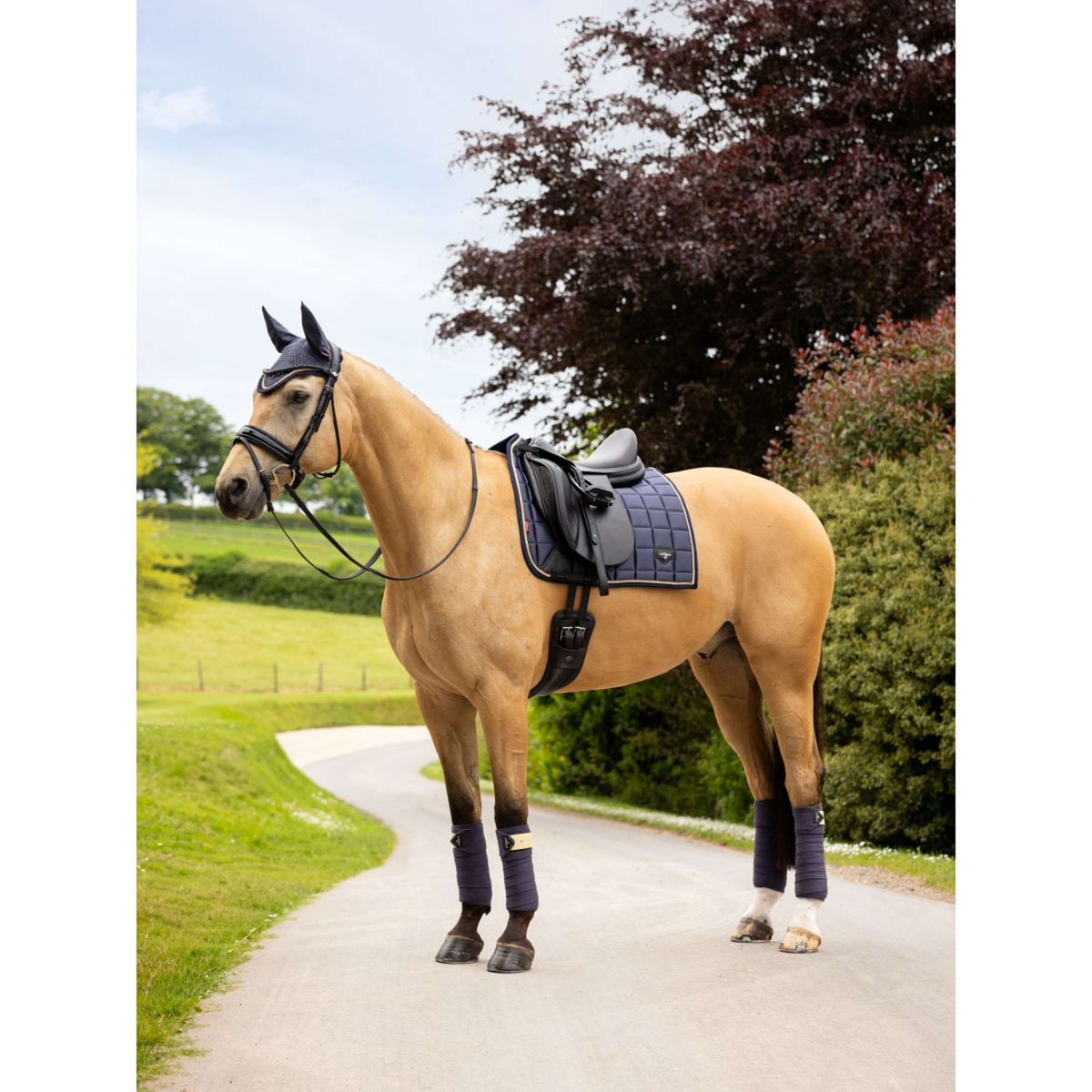 LeMieux Schabracke Loire Classic Dressur Dusk Blau