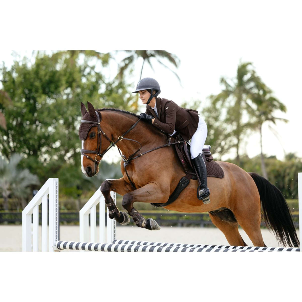 LeMieux Schabracke Brilliance Close Contact Square Springen Espresso