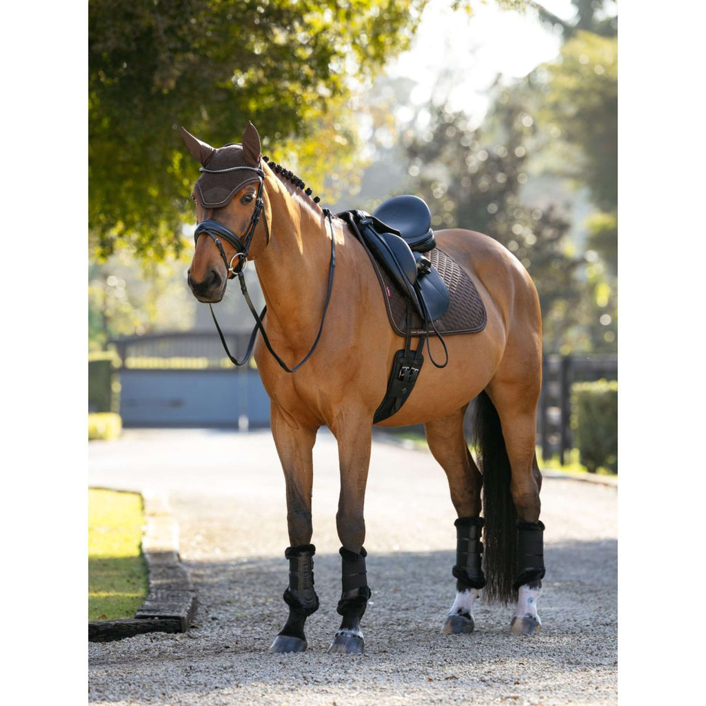 LeMieux Schabracke Brilliance Dressur Espresso