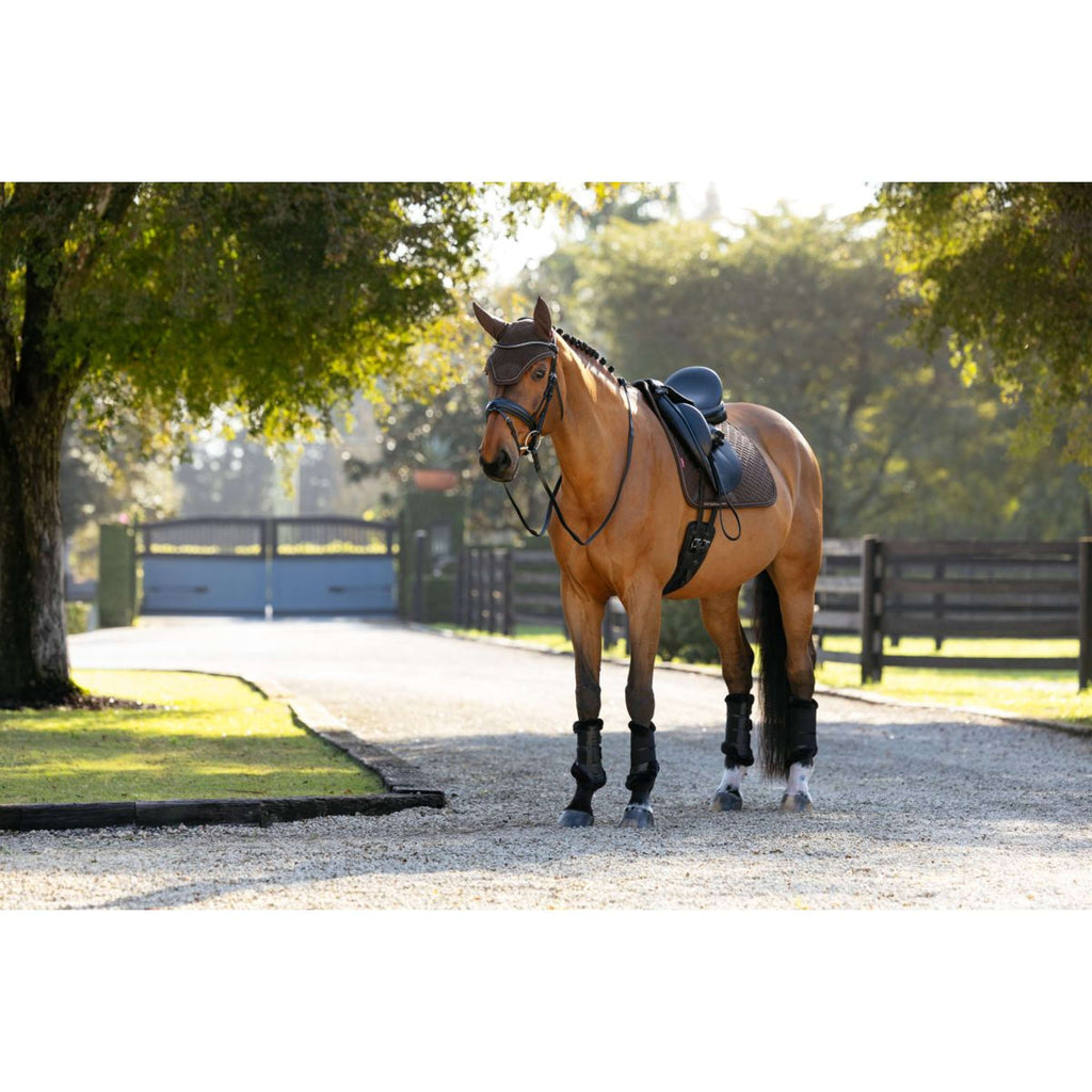LeMieux Schabracke Brilliance Dressur Espresso