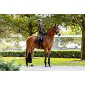 LeMieux Schabracke Brilliance Dressur Espresso