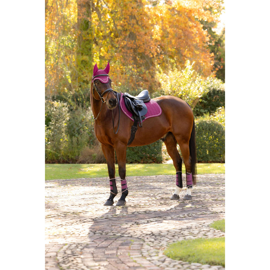 LeMieux Schabracke Suede Close Contact Square Springen Blackberry