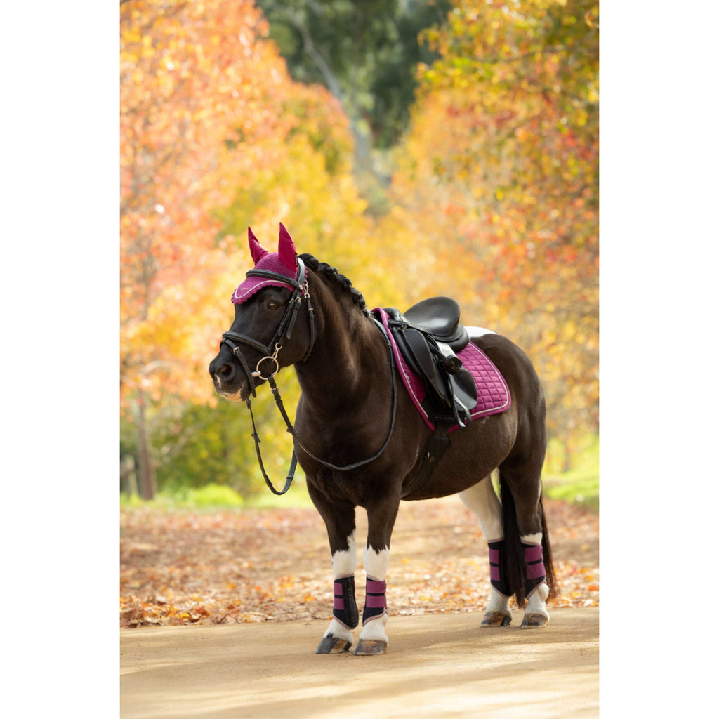 LeMieux Schabracke Suede Close Contact Square Springen Blackberry