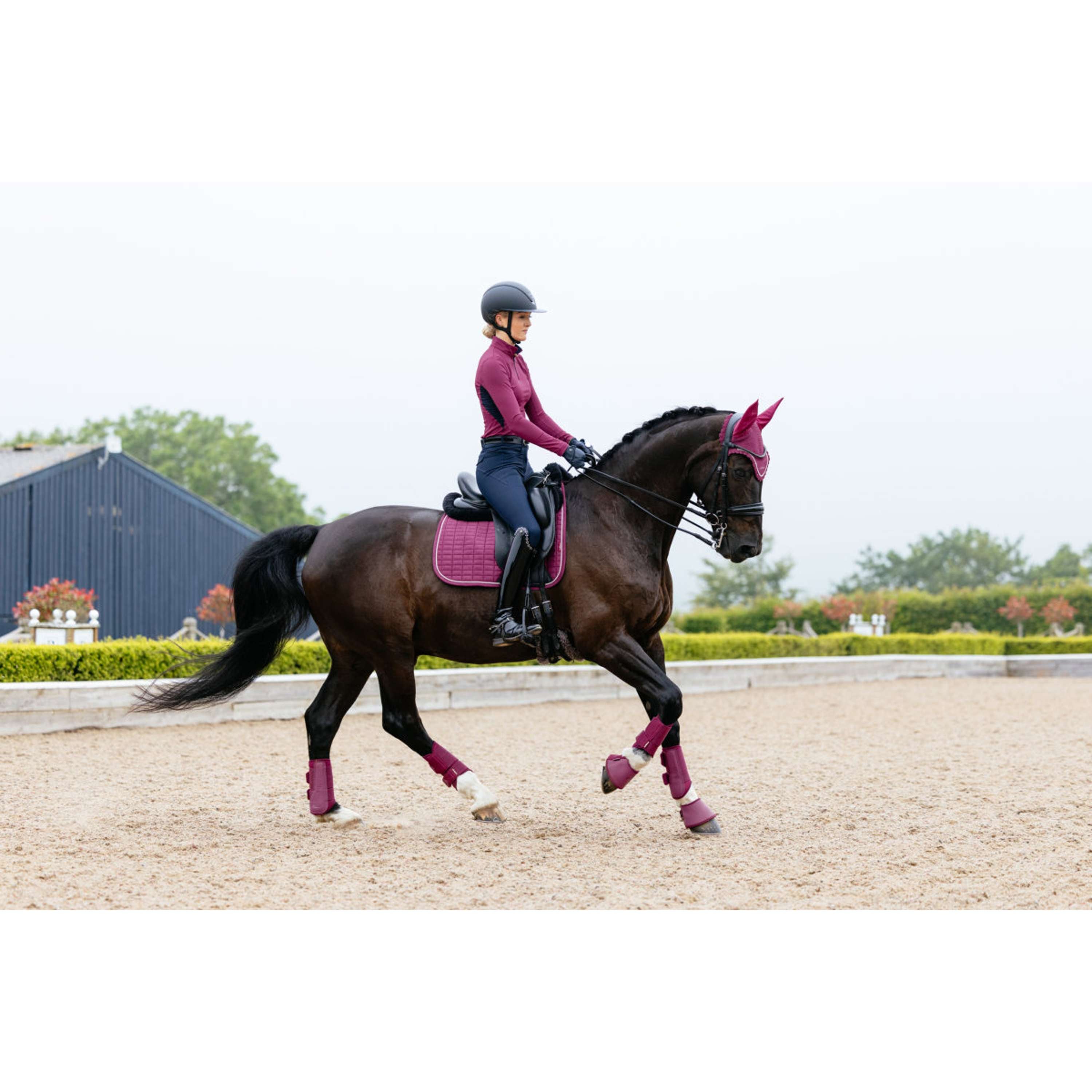 LeMieux Schabracke Suede Square Dressur Blackberry