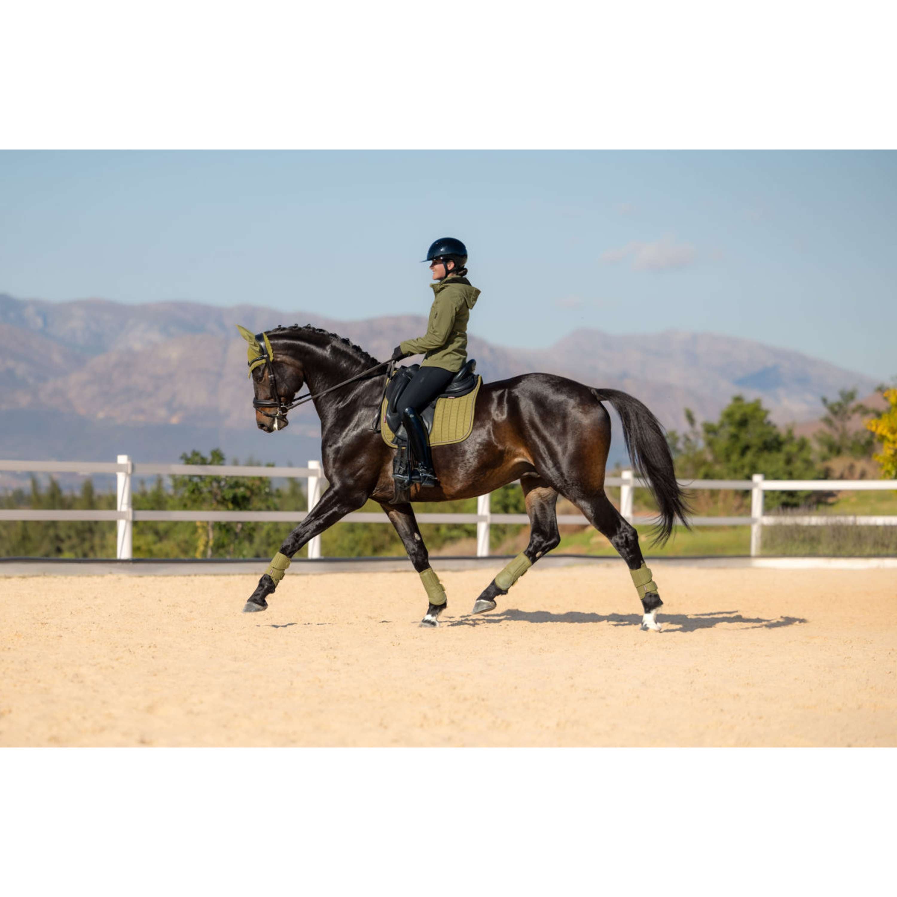 LeMieux Schabracke Suede Square Dressur Gooseberry