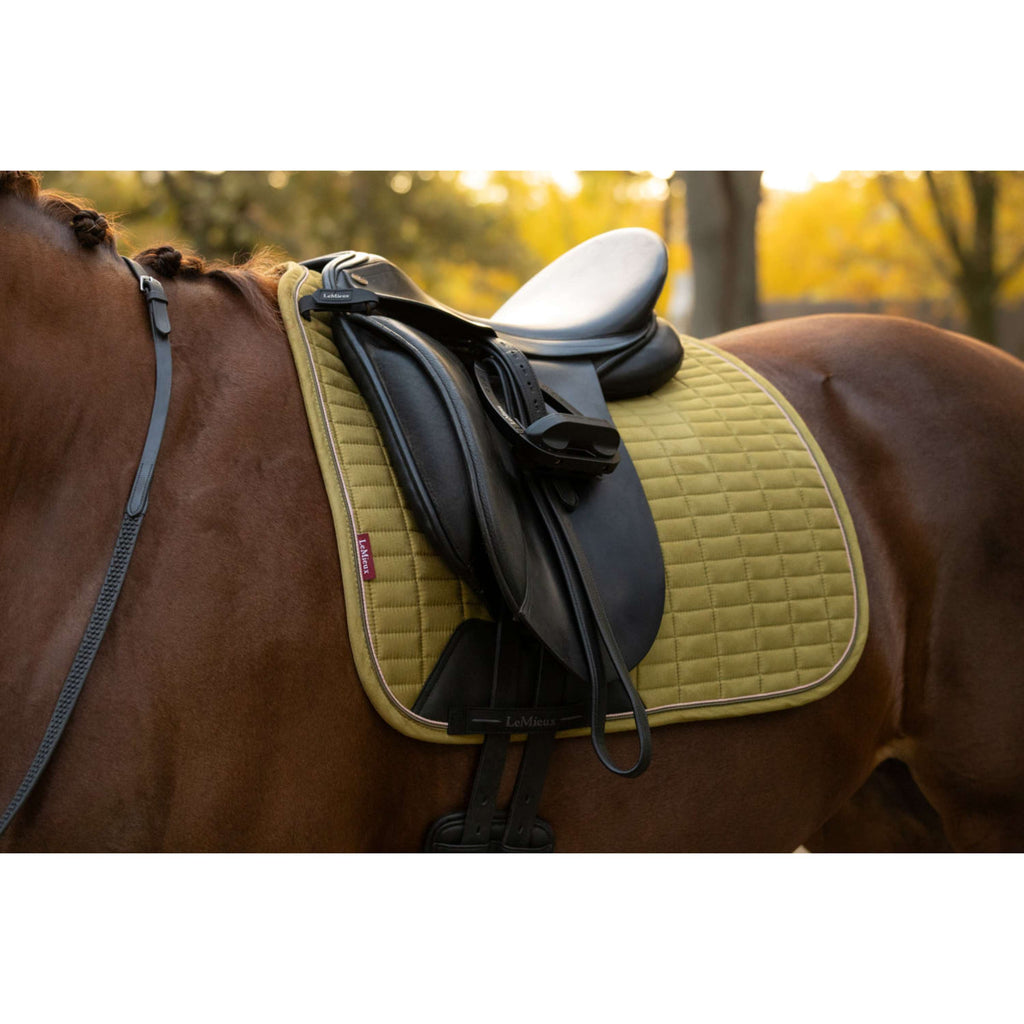 LeMieux Schabracke Suede Square Dressur Gooseberry