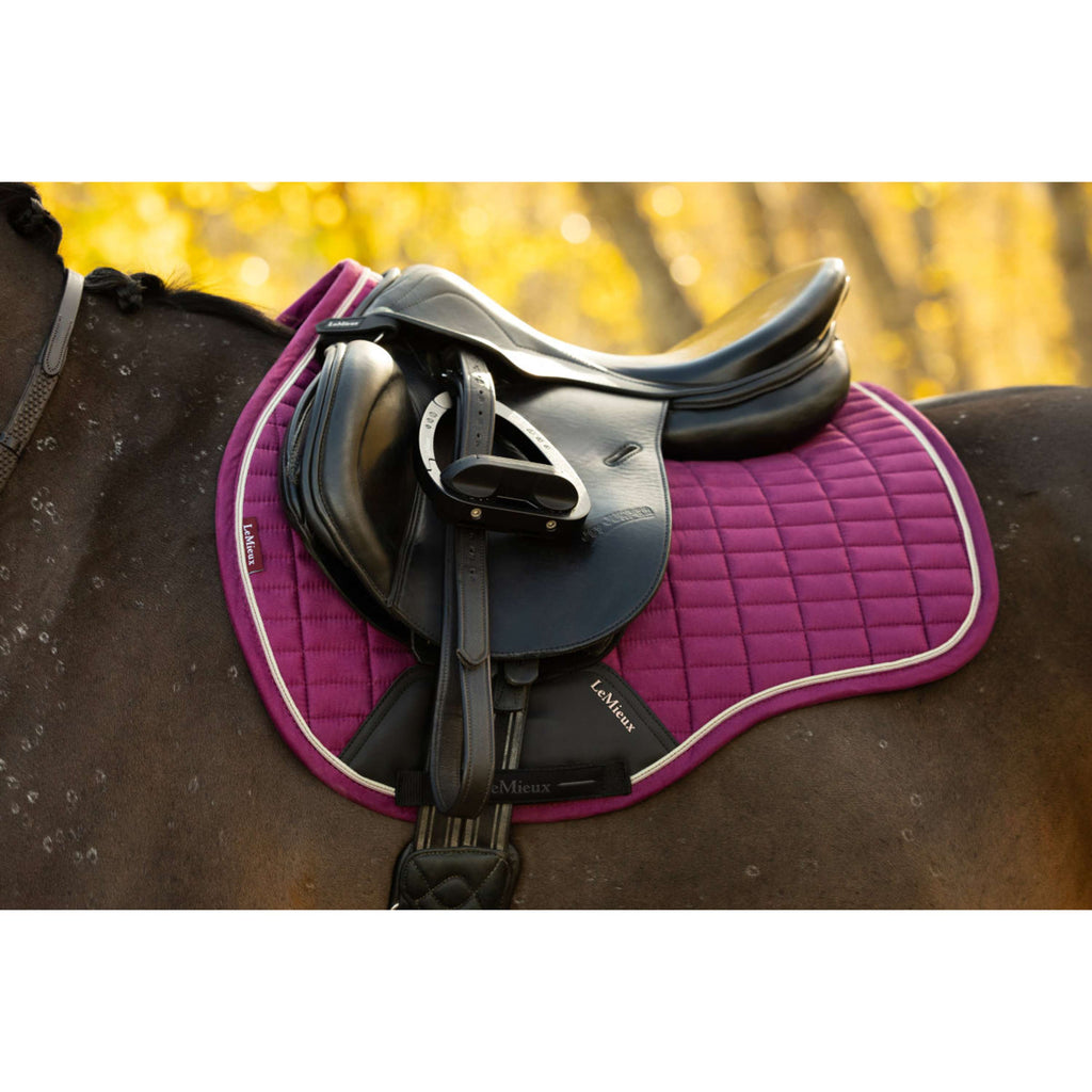 LeMieux Schabracke Suede Square Vielseitigkeit Blackberry