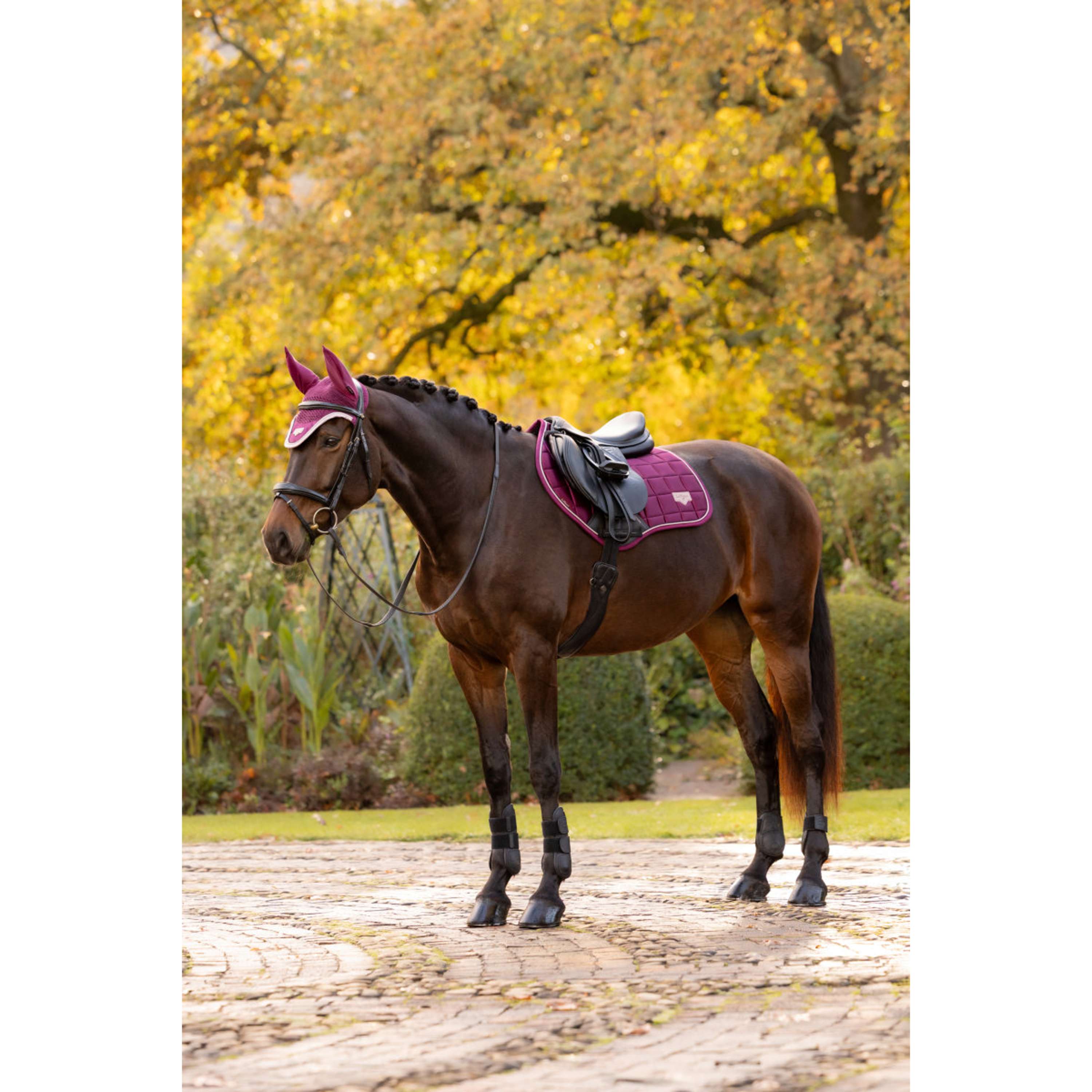 LeMieux Schabracke Loire Classic Close Contact Square Springen Blackberry
