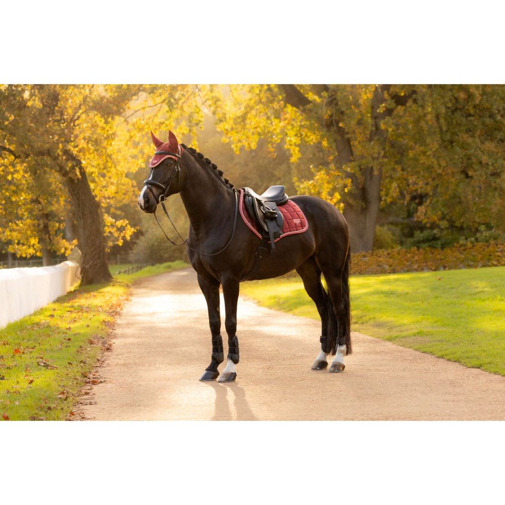 LeMieux Schabracke Loire Classic Close Contact Square Springen Russet