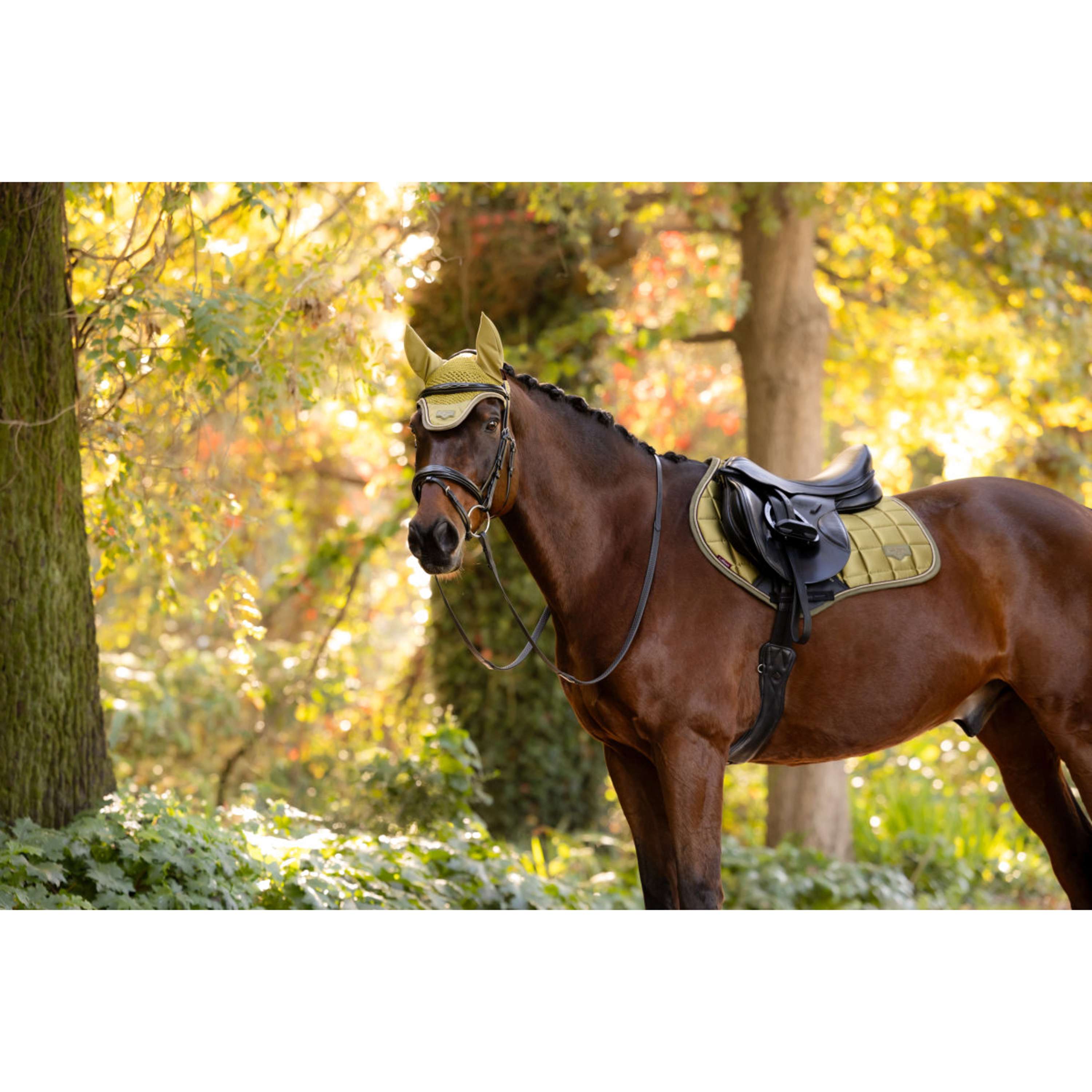 LeMieux Schabracke Loire Classic Close Contact Square Springen Gooseberry