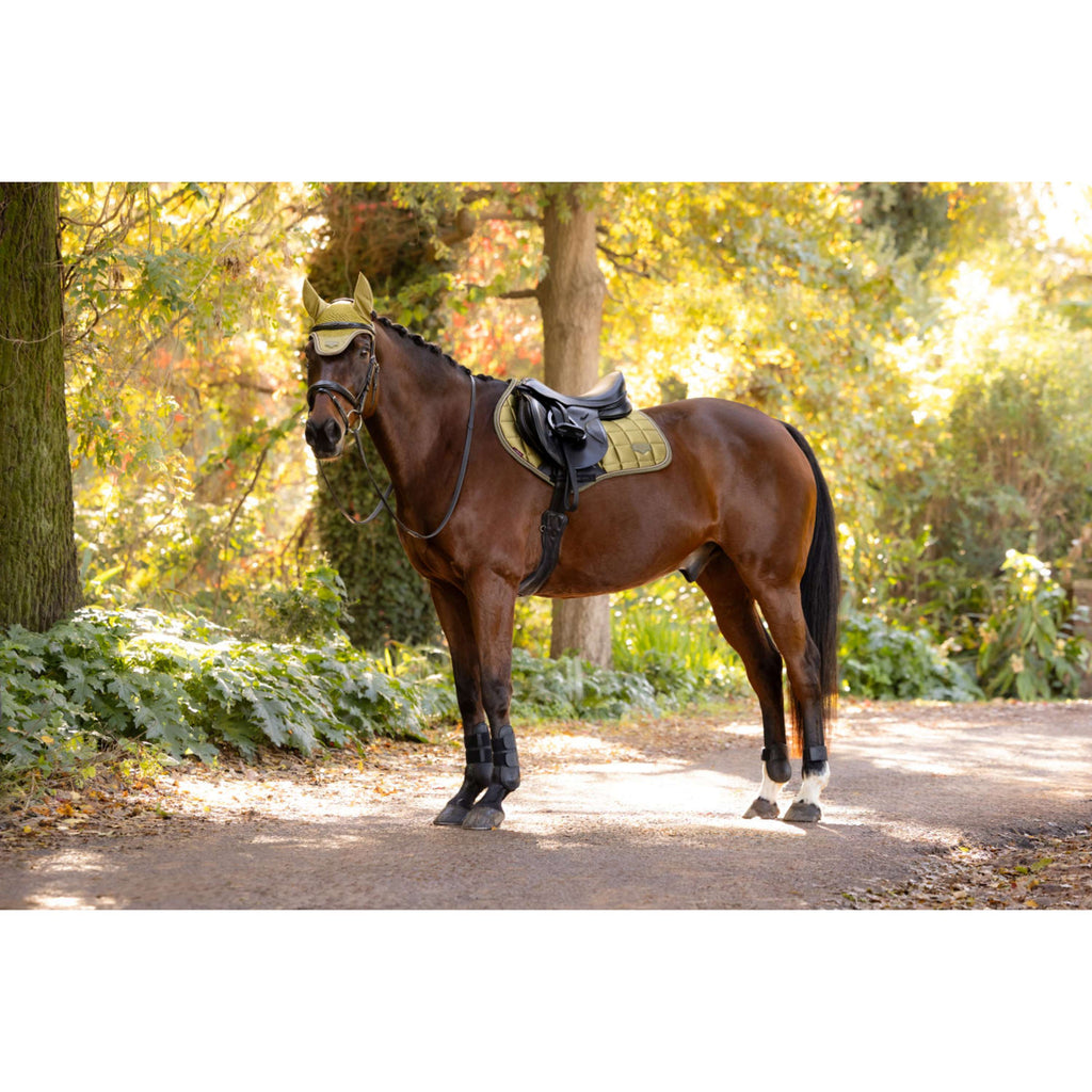 LeMieux Schabracke Loire Classic Close Contact Square Springen Gooseberry