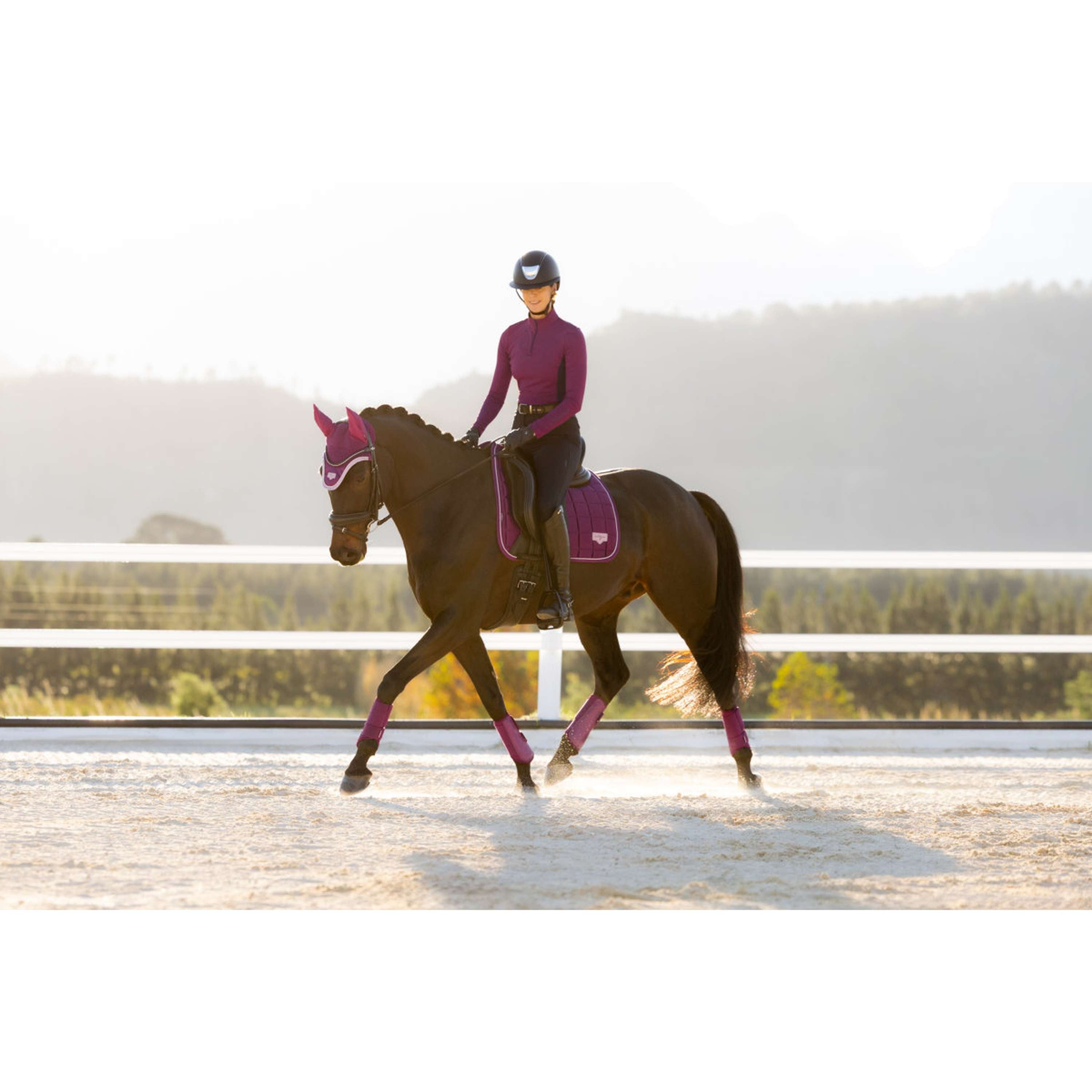 LeMieux Schabracke Loire Classic Square Dressur Blackberry