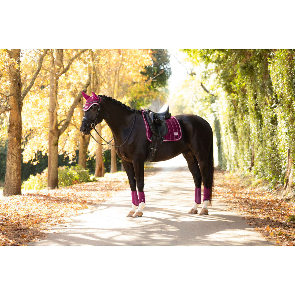 LeMieux Schabracke Loire Classic Square Dressur Blackberry