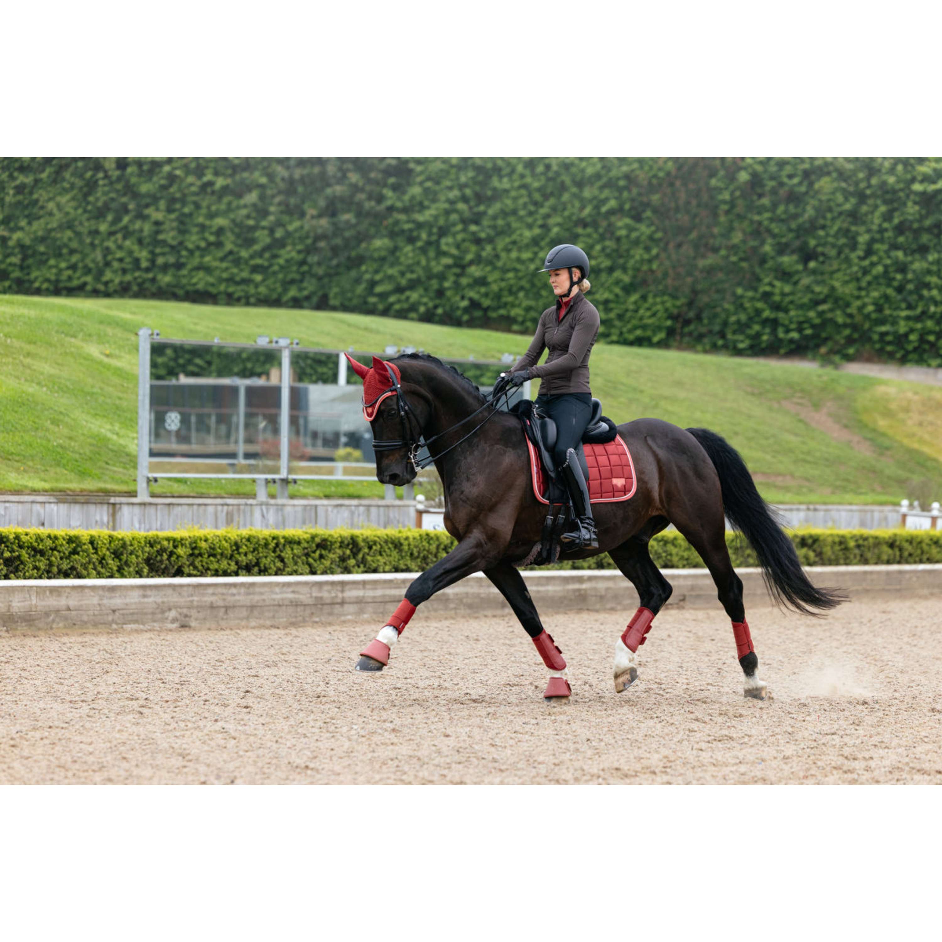 LeMieux Schabracke Loire Classic Square Dressur Russet