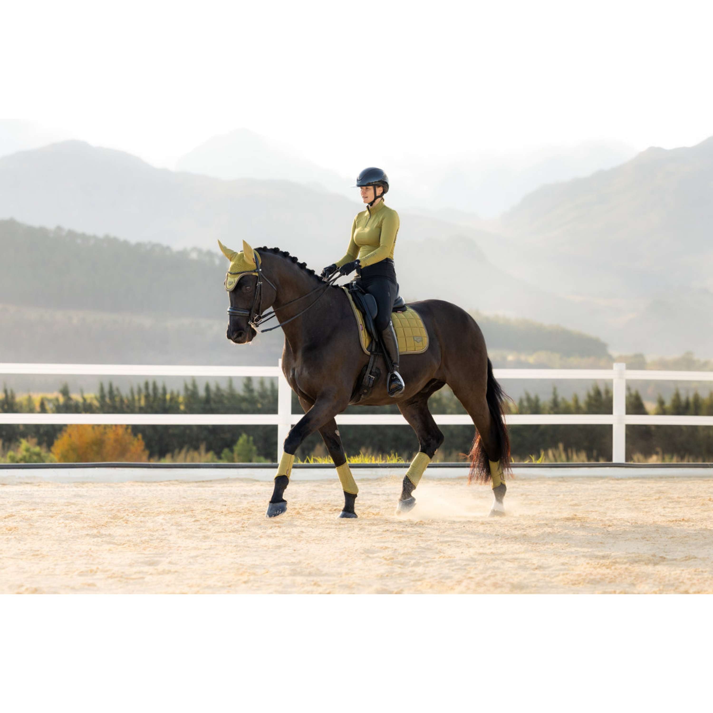 LeMieux Schabracke Loire Classic Square Dressur Gooseberry