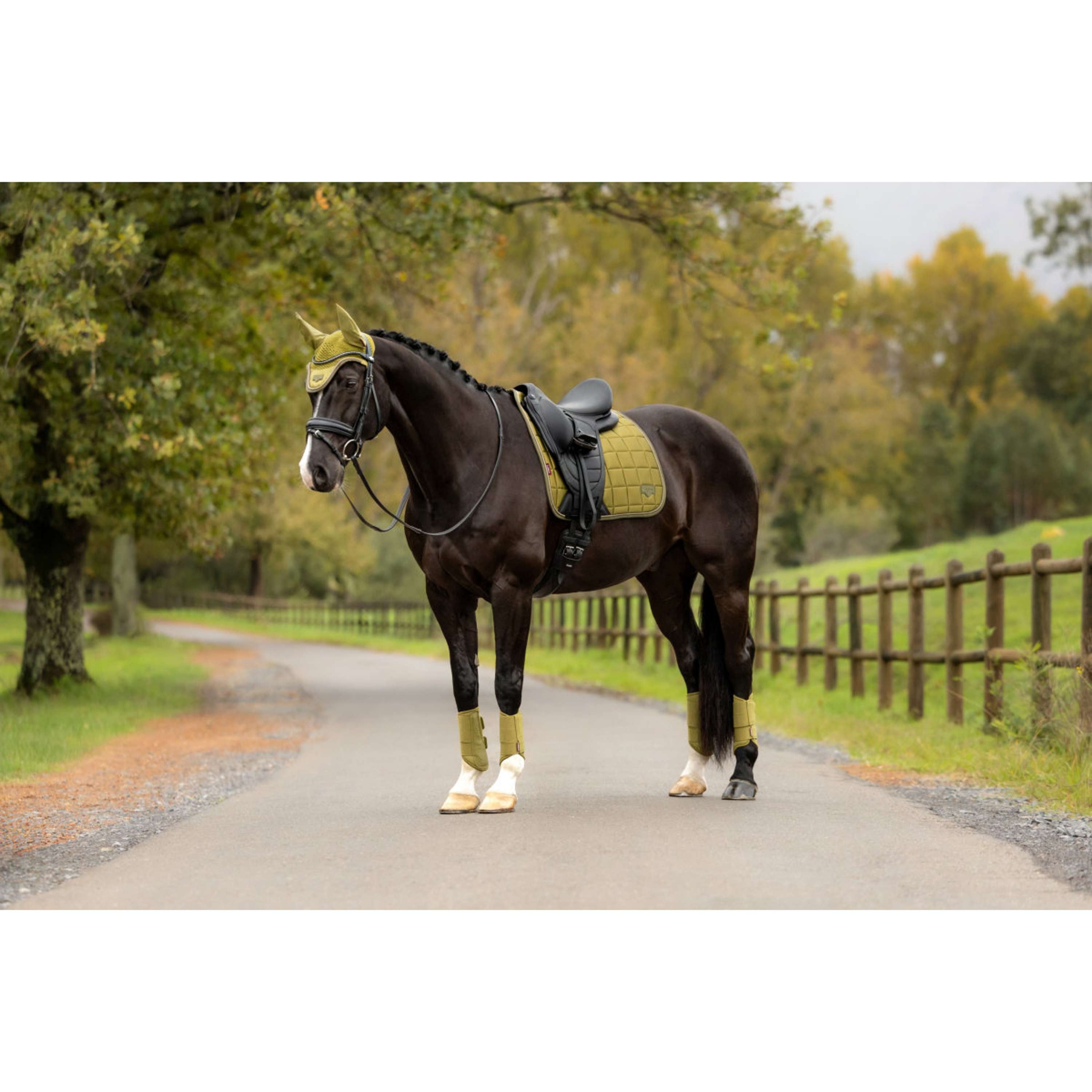LeMieux Schabracke Loire Classic Square Dressur Gooseberry