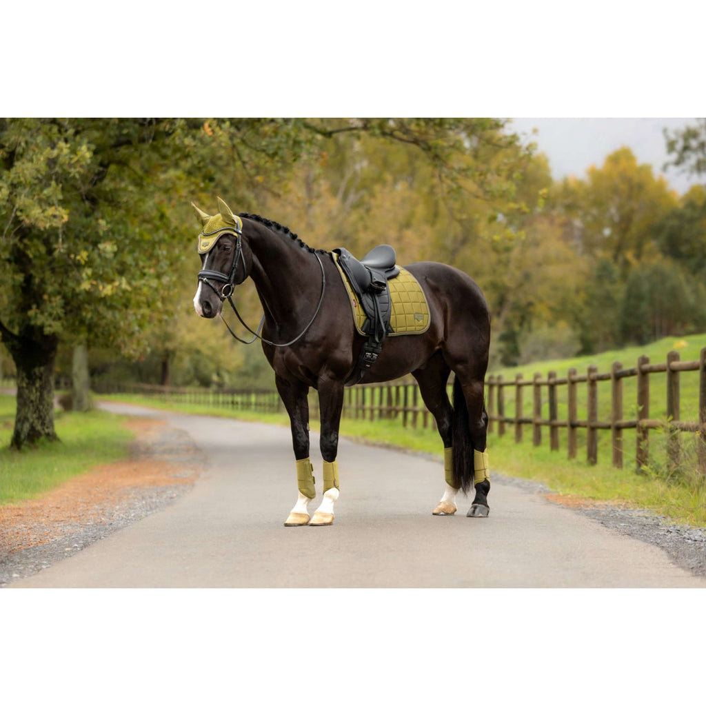 LeMieux Schabracke Loire Classic Square Dressur Gooseberry