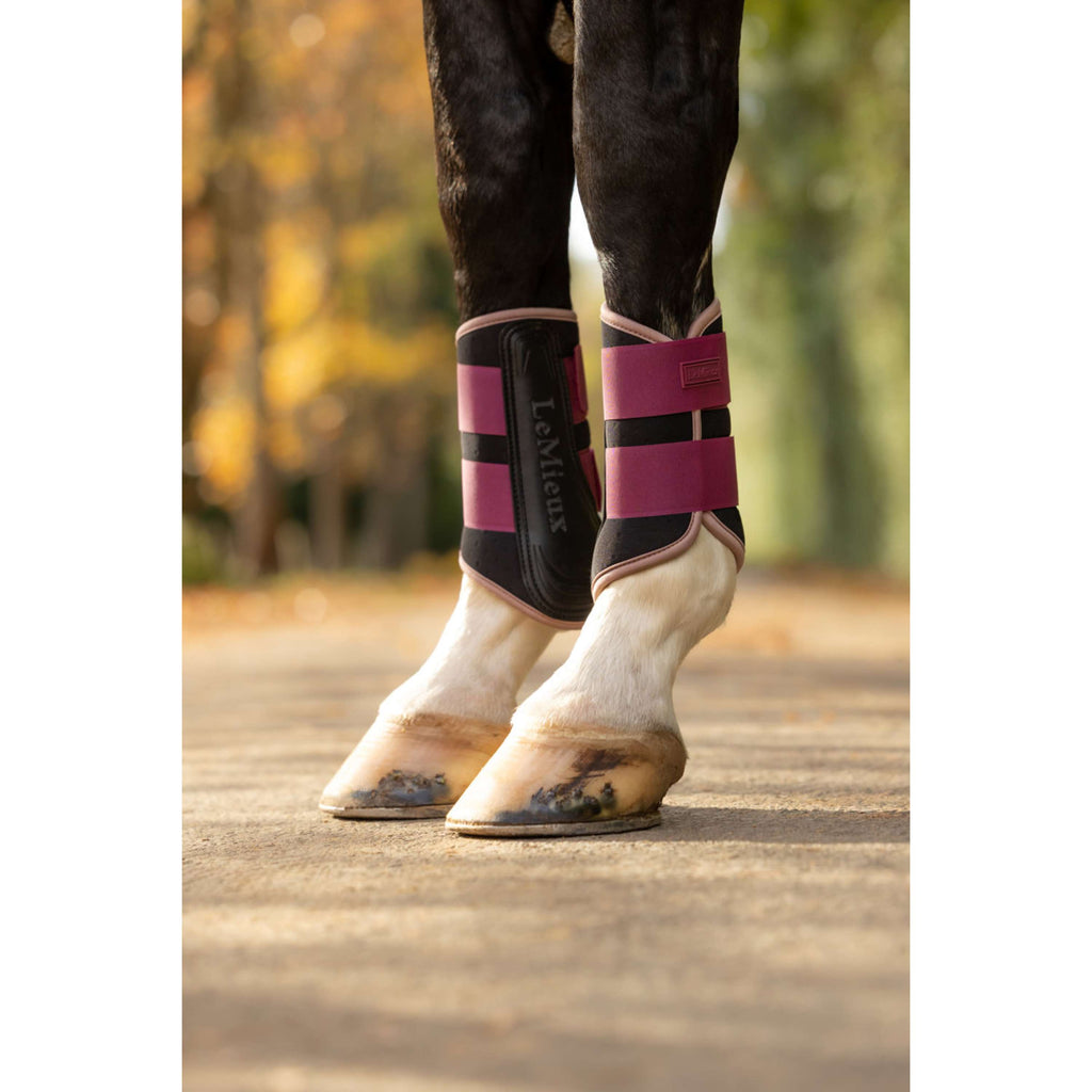 LeMieux Gamaschen Air-Tek Grafter Blackberry