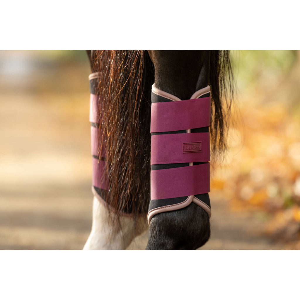 LeMieux Gamaschen Air-Tek Grafter Blackberry