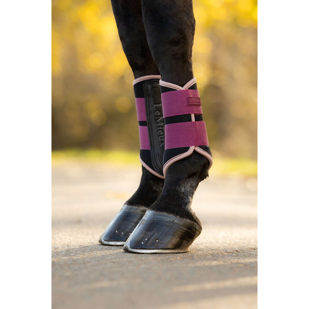 LeMieux Gamaschen Air-Tek Grafter Blackberry