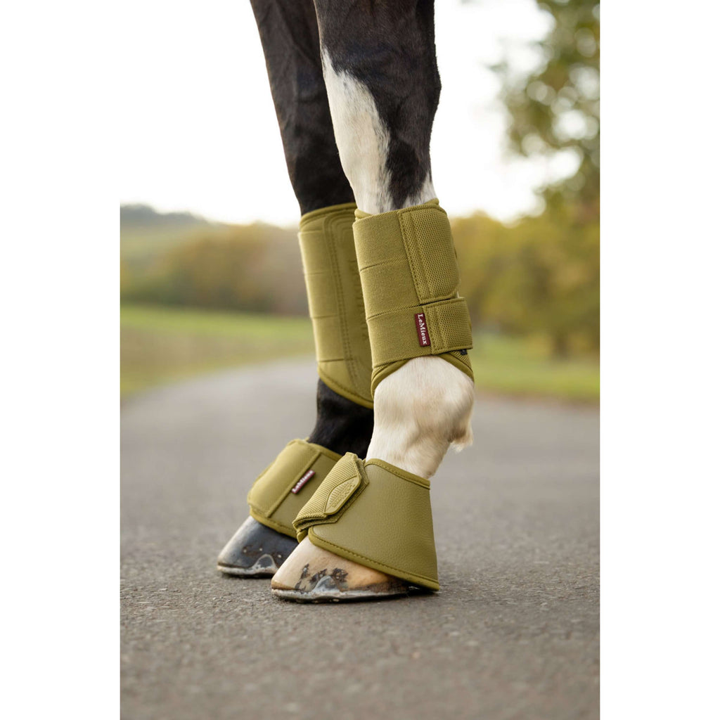 LeMieux Hufglocken Arika Gooseberry