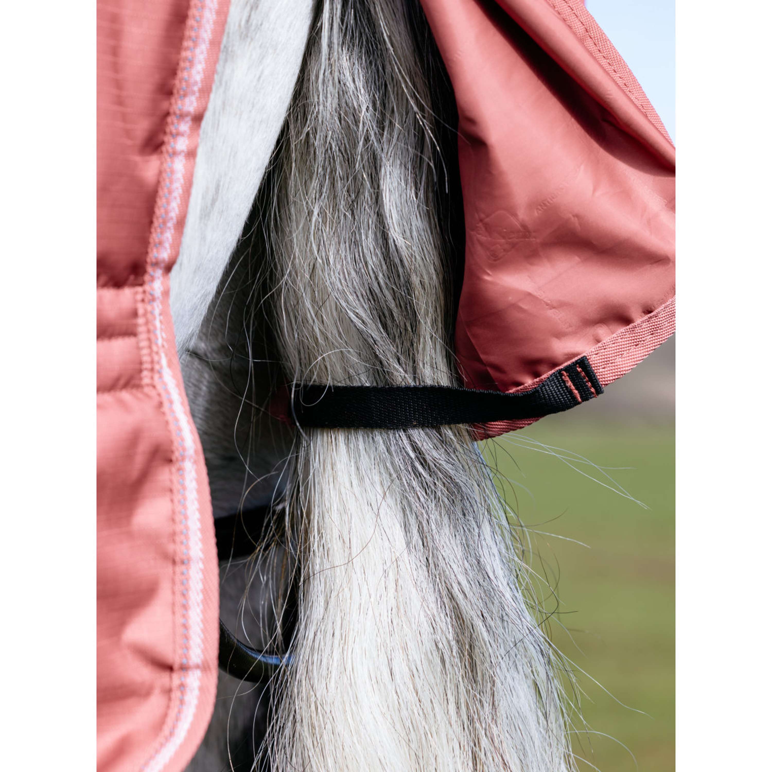 LeMieux Regendecke Arika Star 0g Spiced Earth