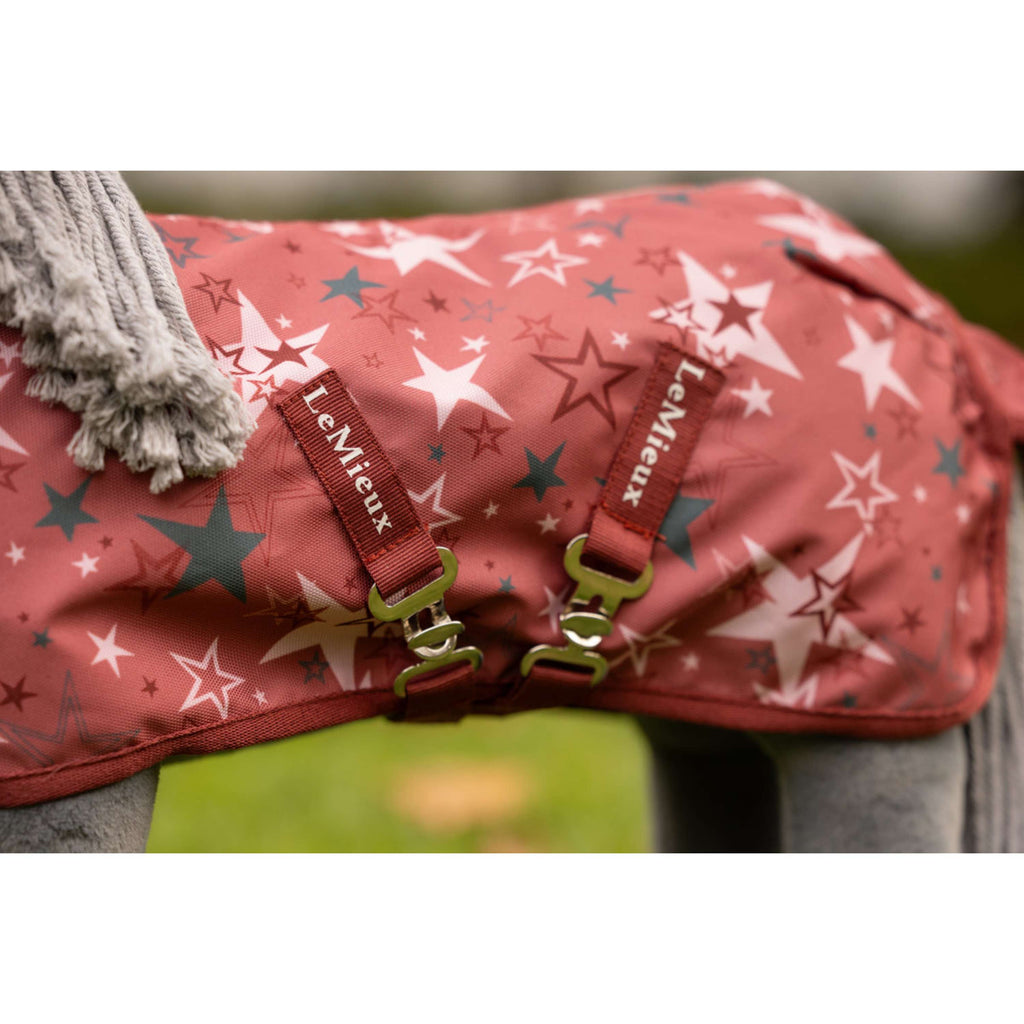 LeMieux Toy Pony Decke Printed Turnout Spiced Earth