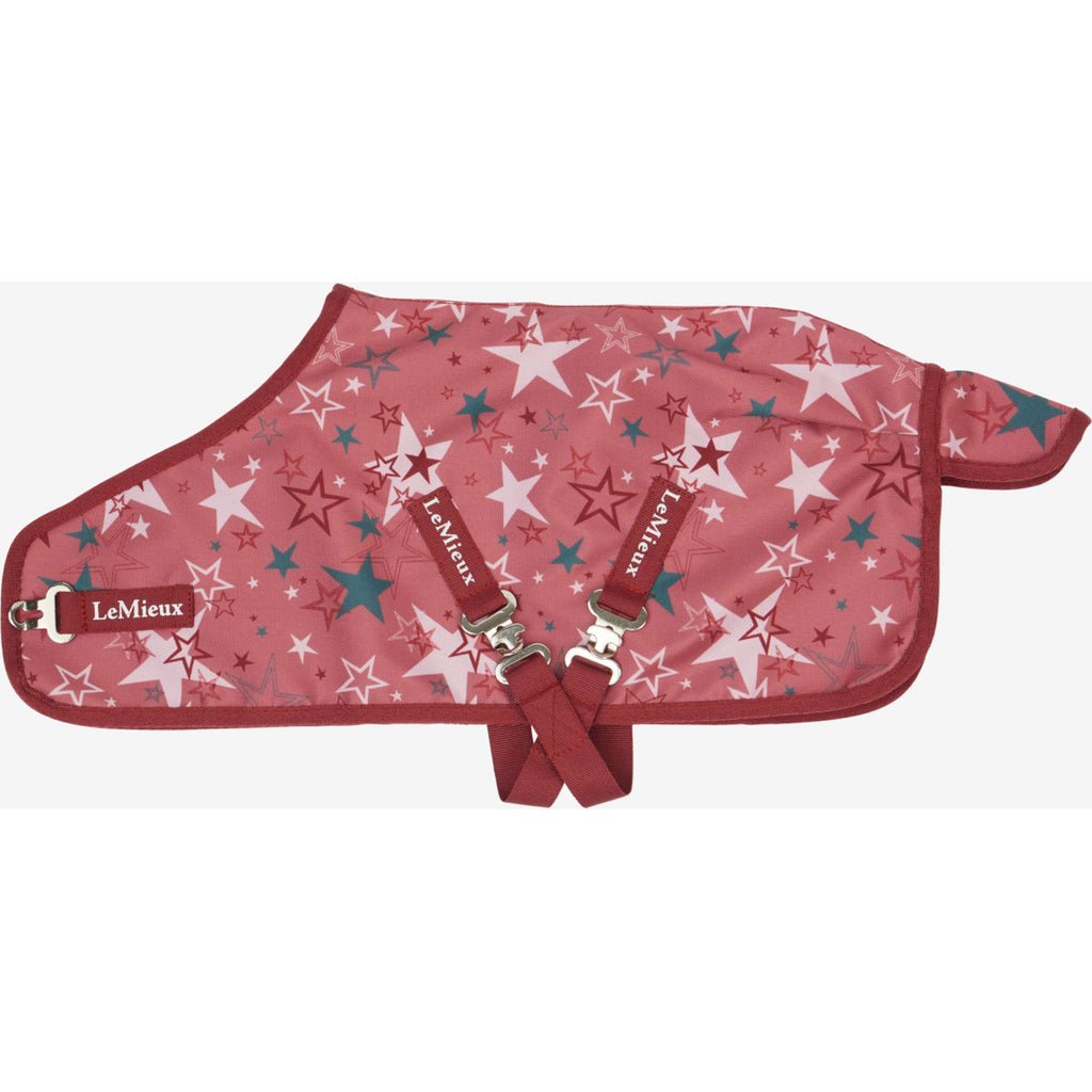 LeMieux Toy Pony Decke Printed Turnout Spiced Earth