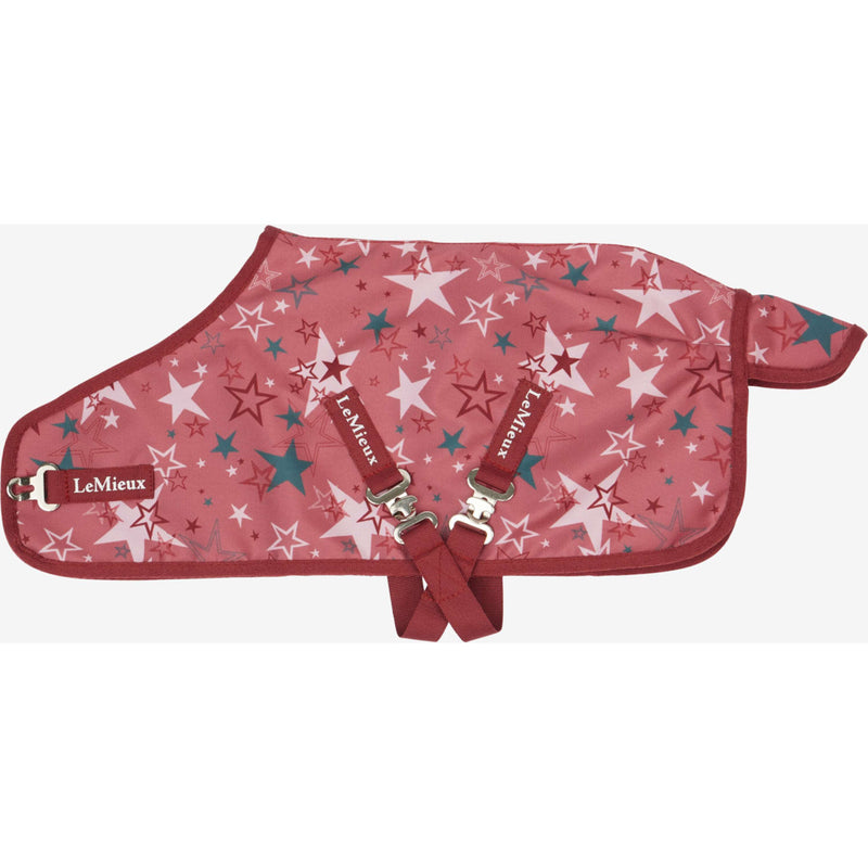 LeMieux Toy Pony Decke Printed Turnout Spiced Earth